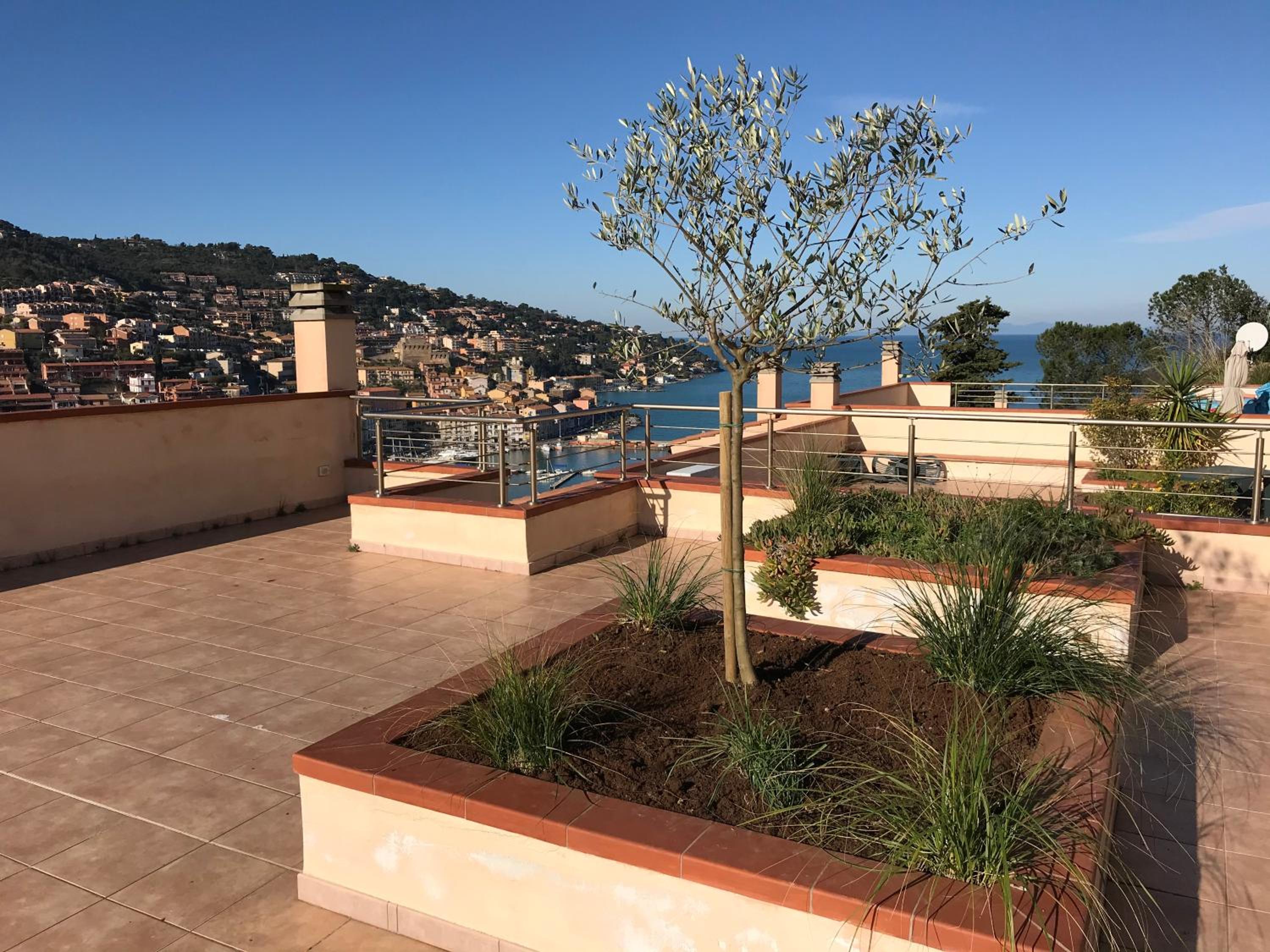 Apartment with Terrace photo 3