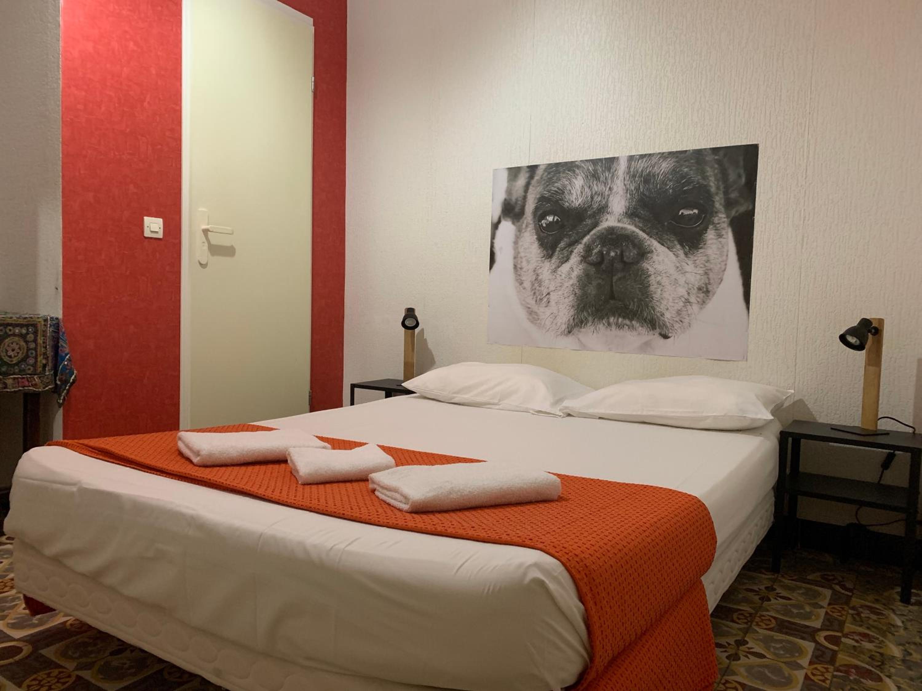 Comfort Double Room With Shower photo 1