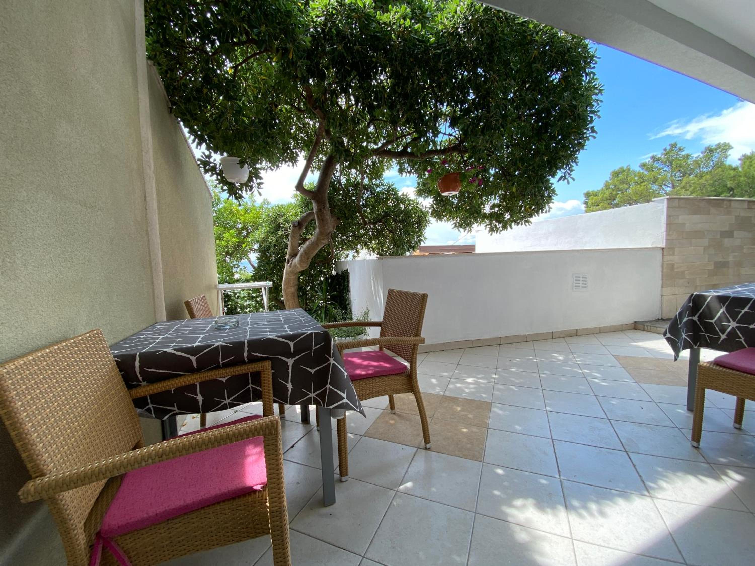 Studio with Terrace photo 3