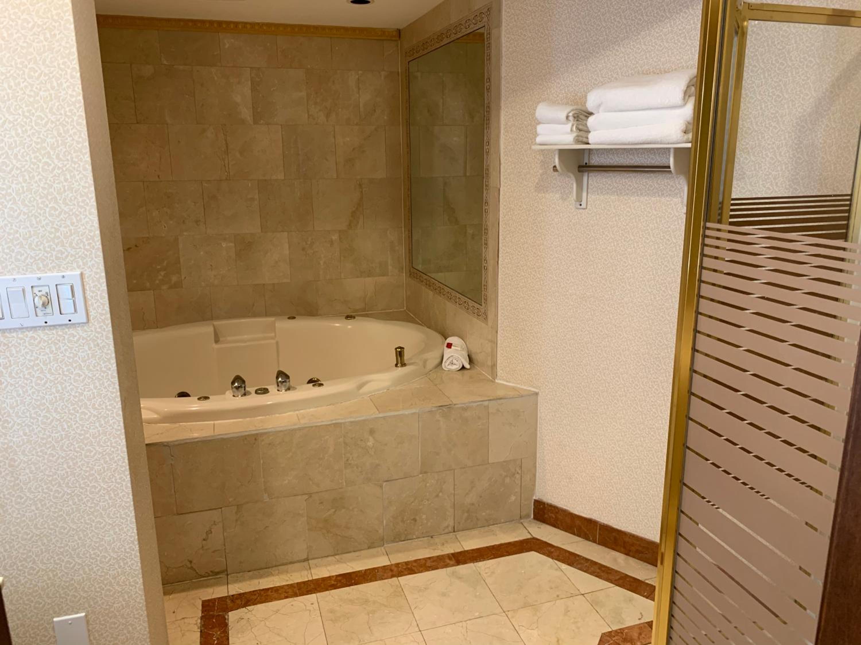 Deluxe King Studio Suite with Lake View - Non-Smoking - Photo 9
