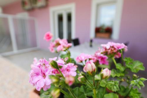Apartment with Sea View photo 2