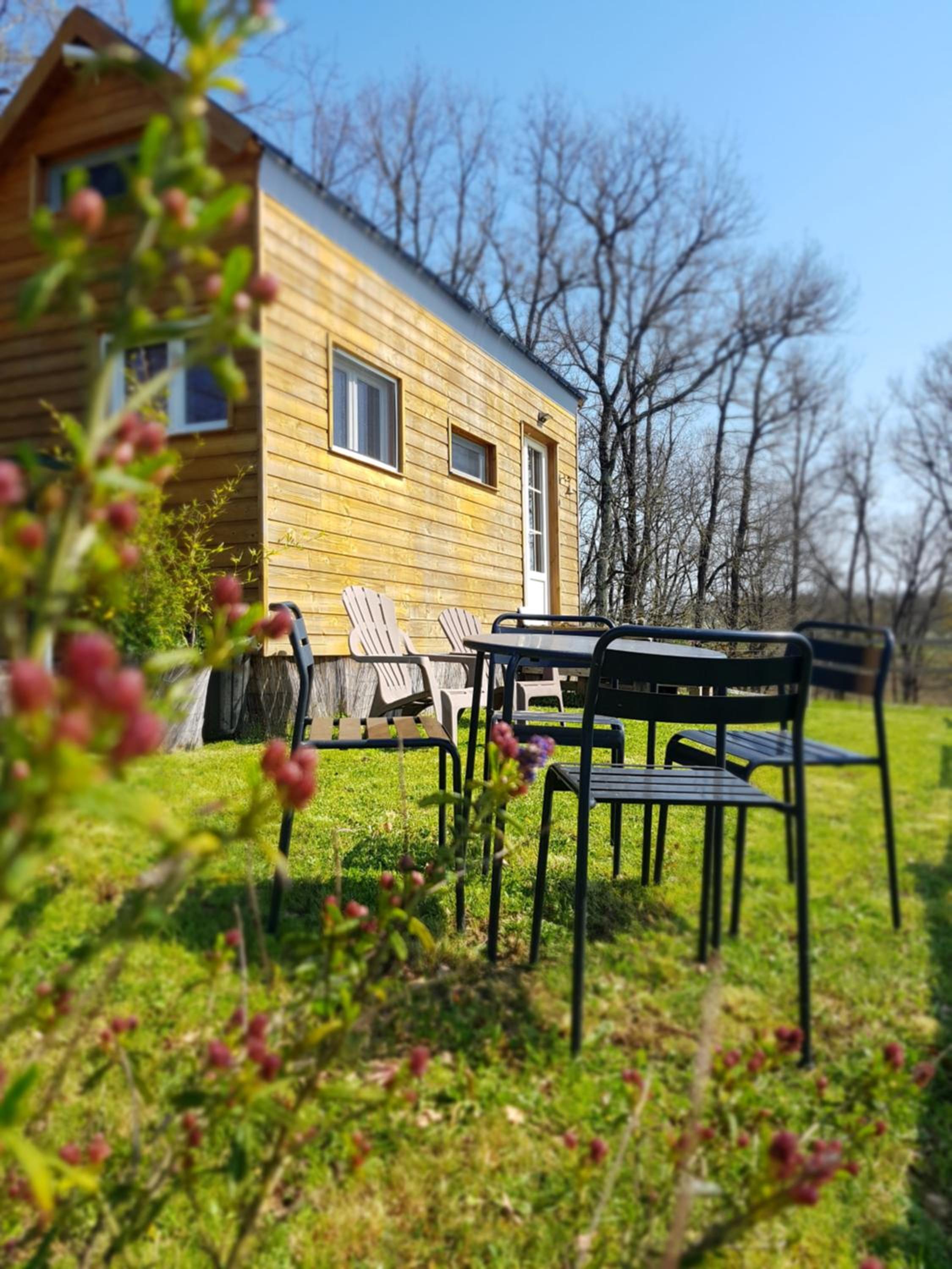 Mobile Home photo 3