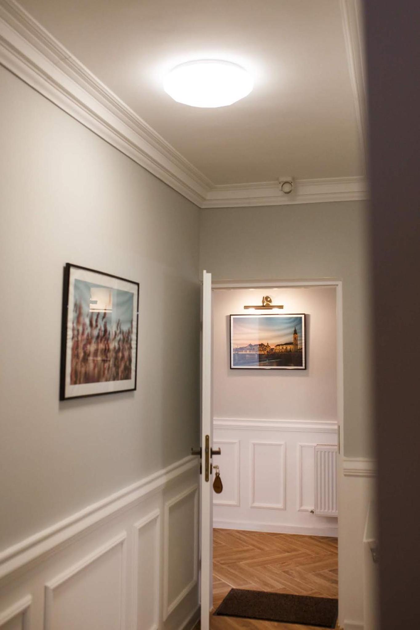 Superior Studio - Photo 15