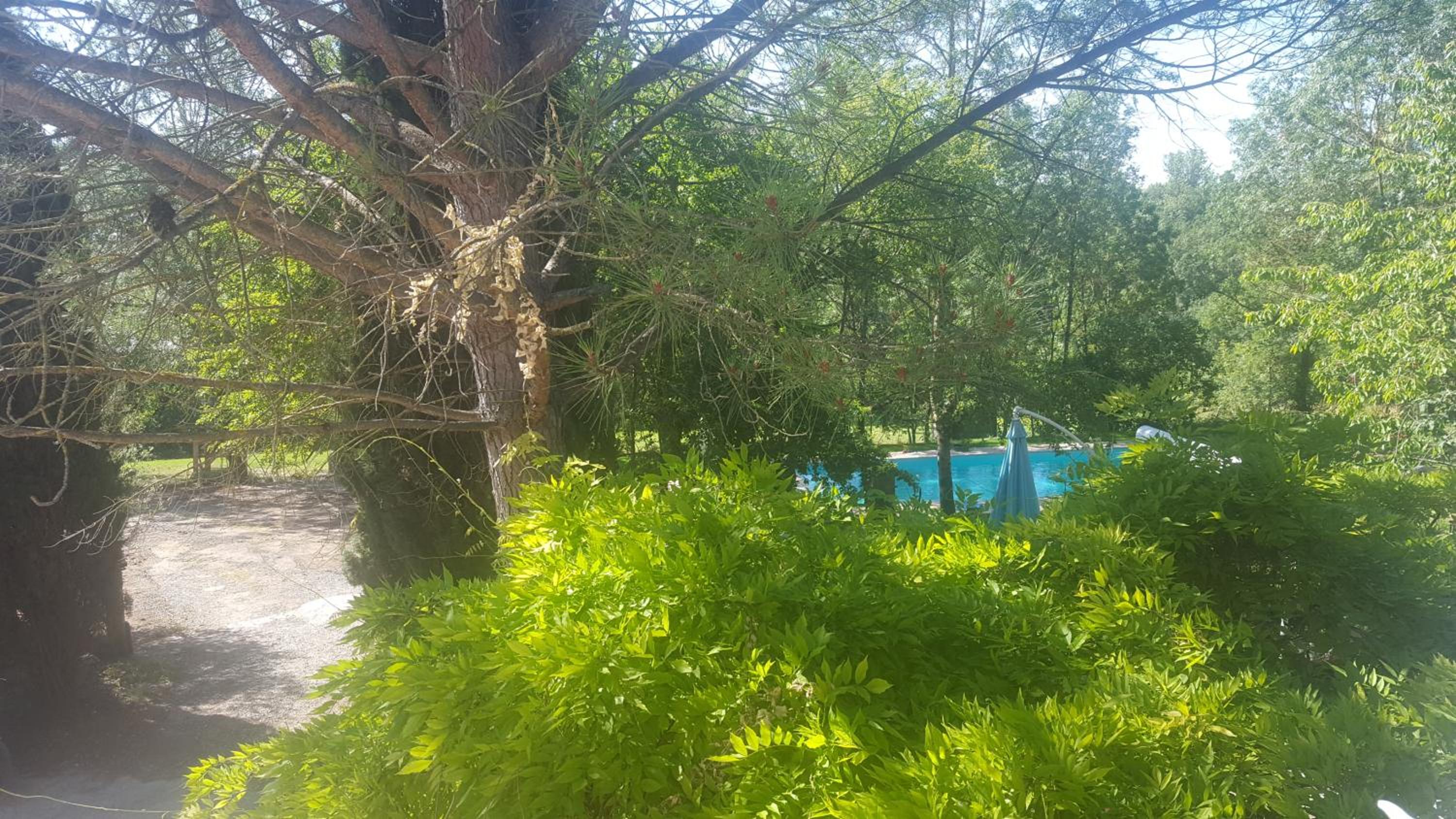 Double Room with Pool View photo 3