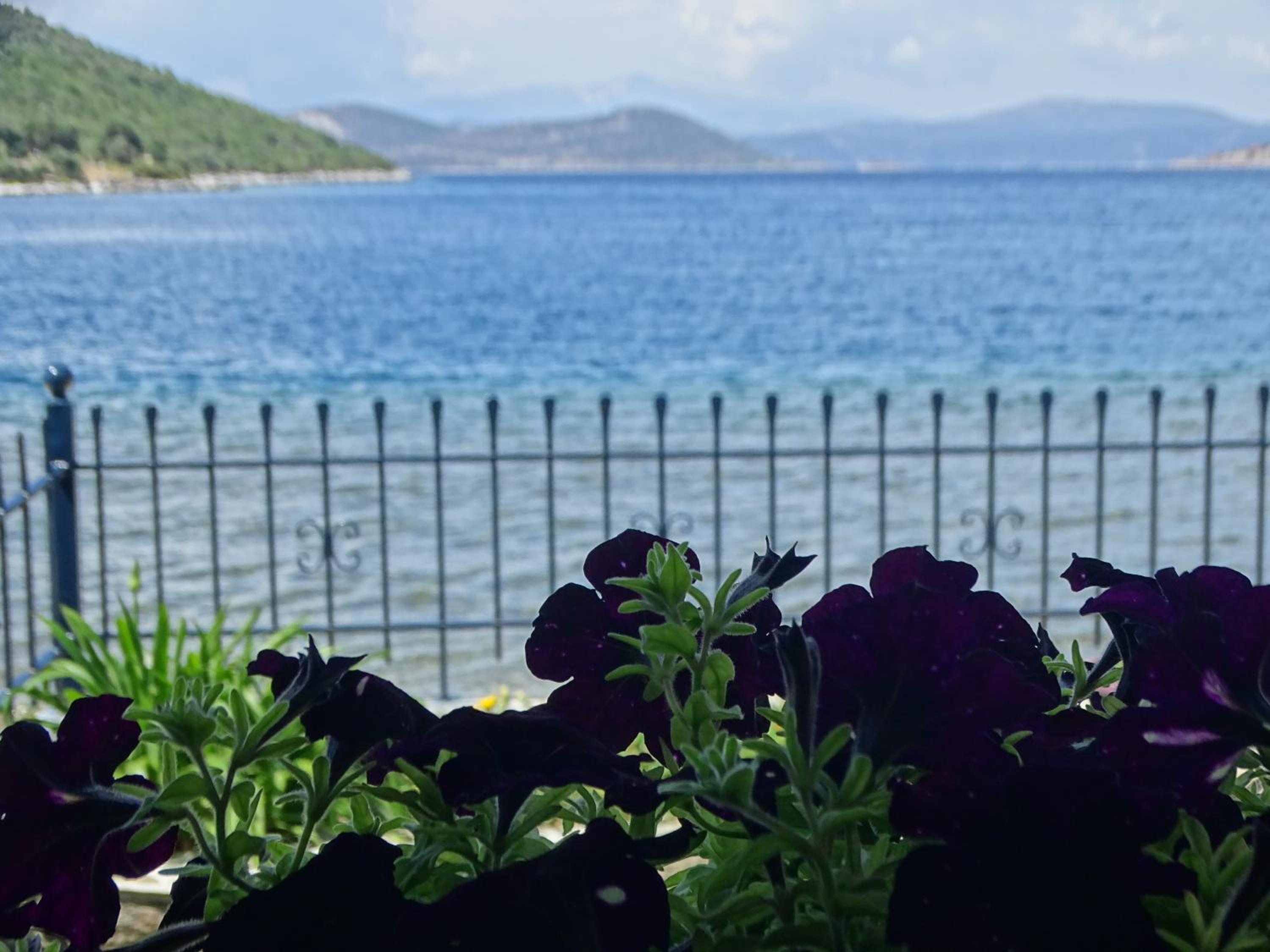 Studio with Sea View - Photo 21