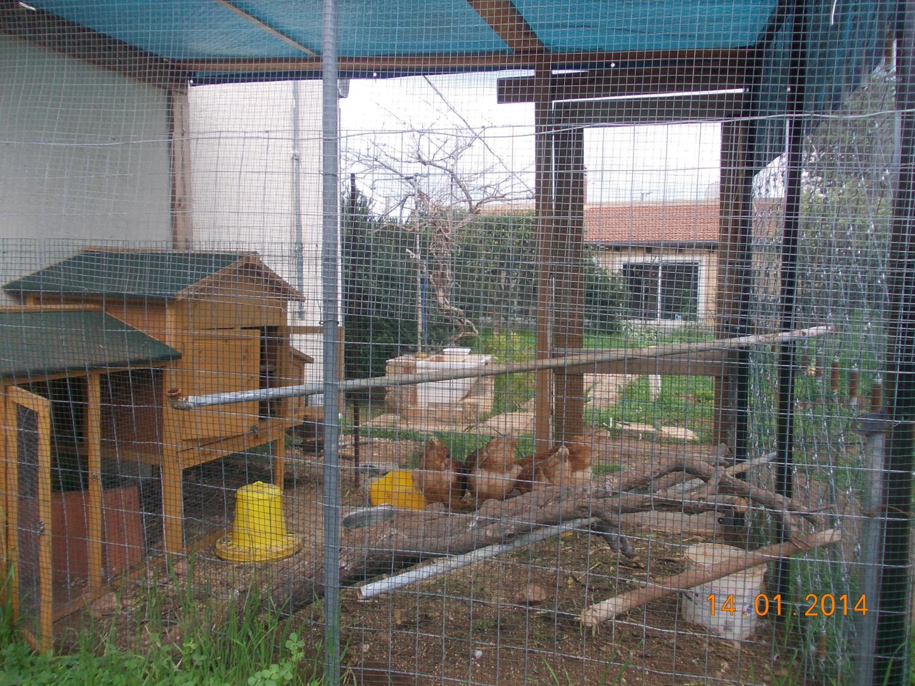 Three-Bedroom House photo 2