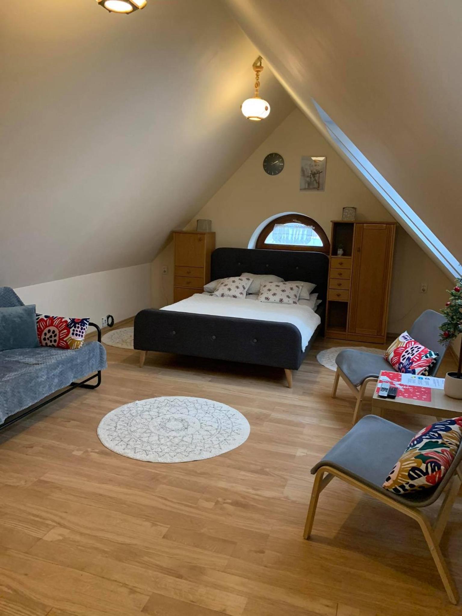One-Bedroom Apartment - Attic photo 3
