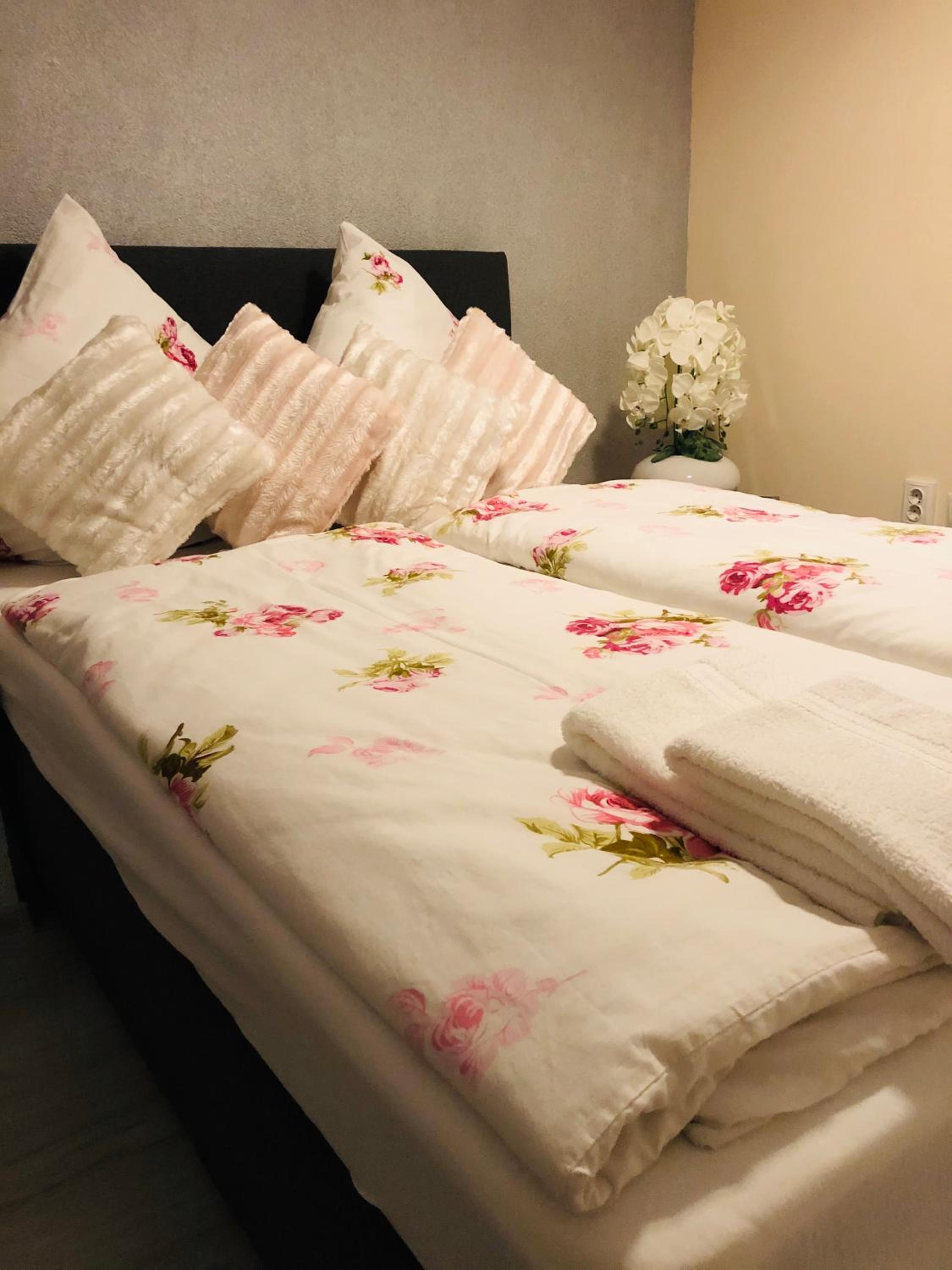 Deluxe Double or Twin Room photo 2