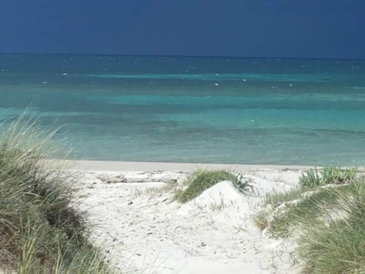 Holiday Home photo 1