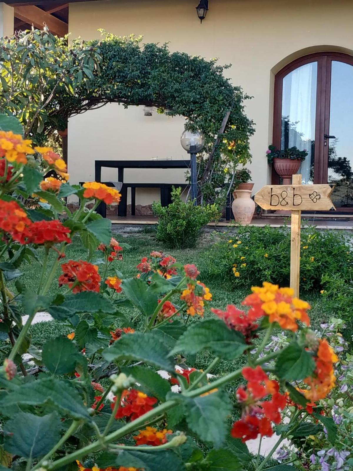 Studio with Terrace - Photo 4