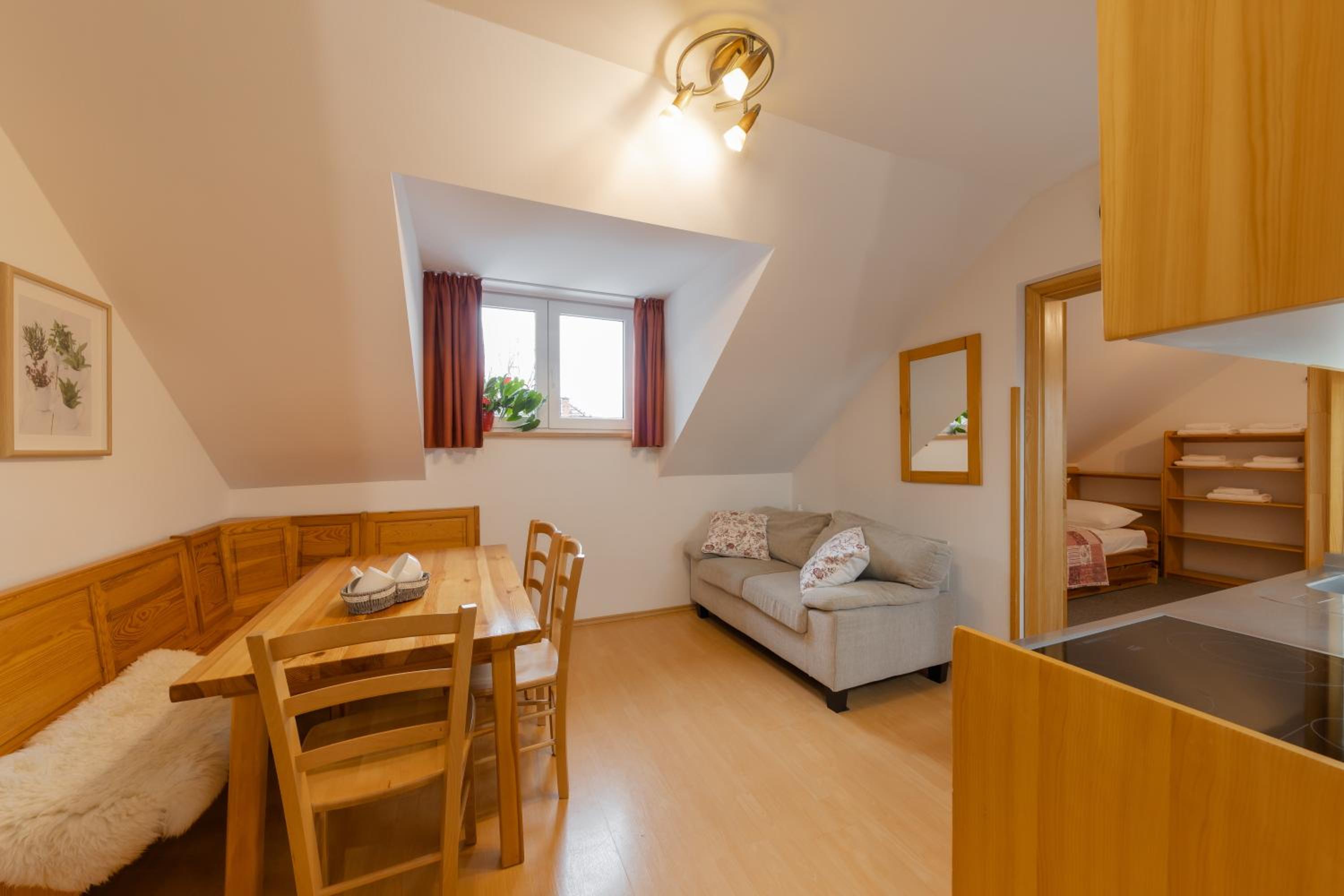 One-Bedroom Apartment (4-5 Adults) photo 3