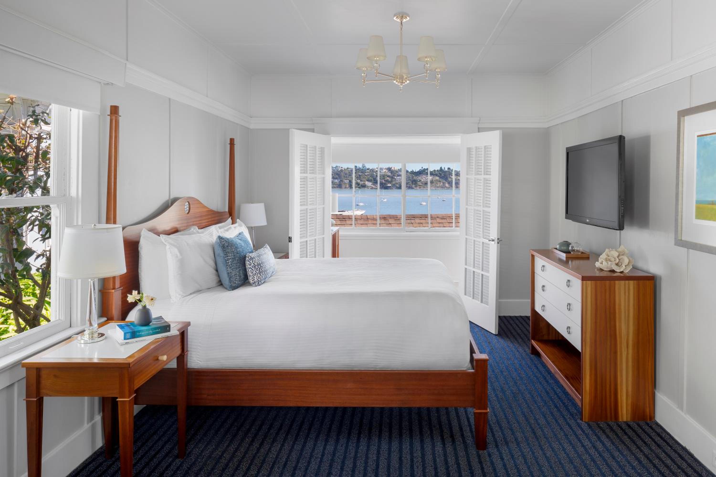 Suite - Photo 1
