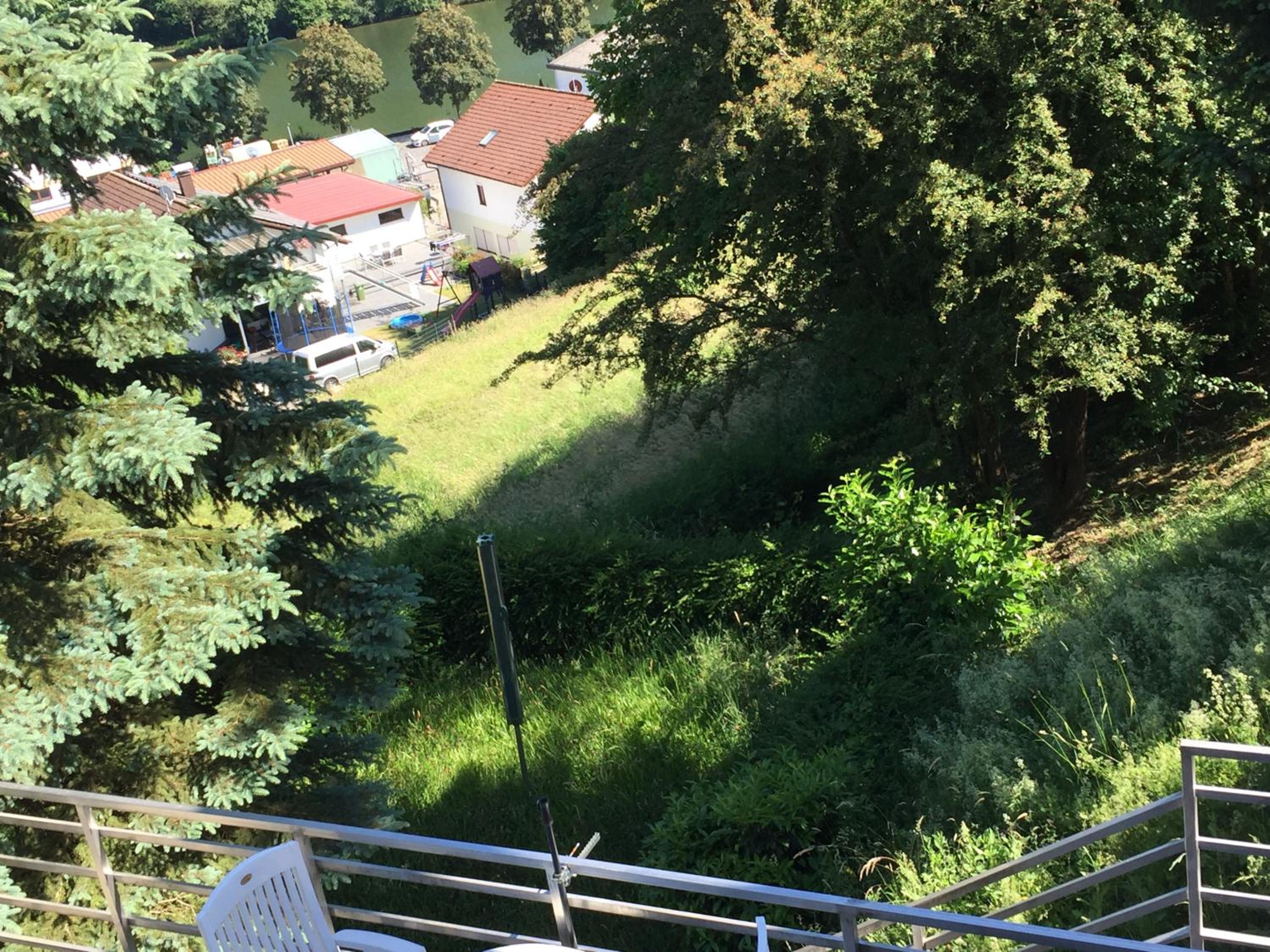 Apartment with Terrace photo 2