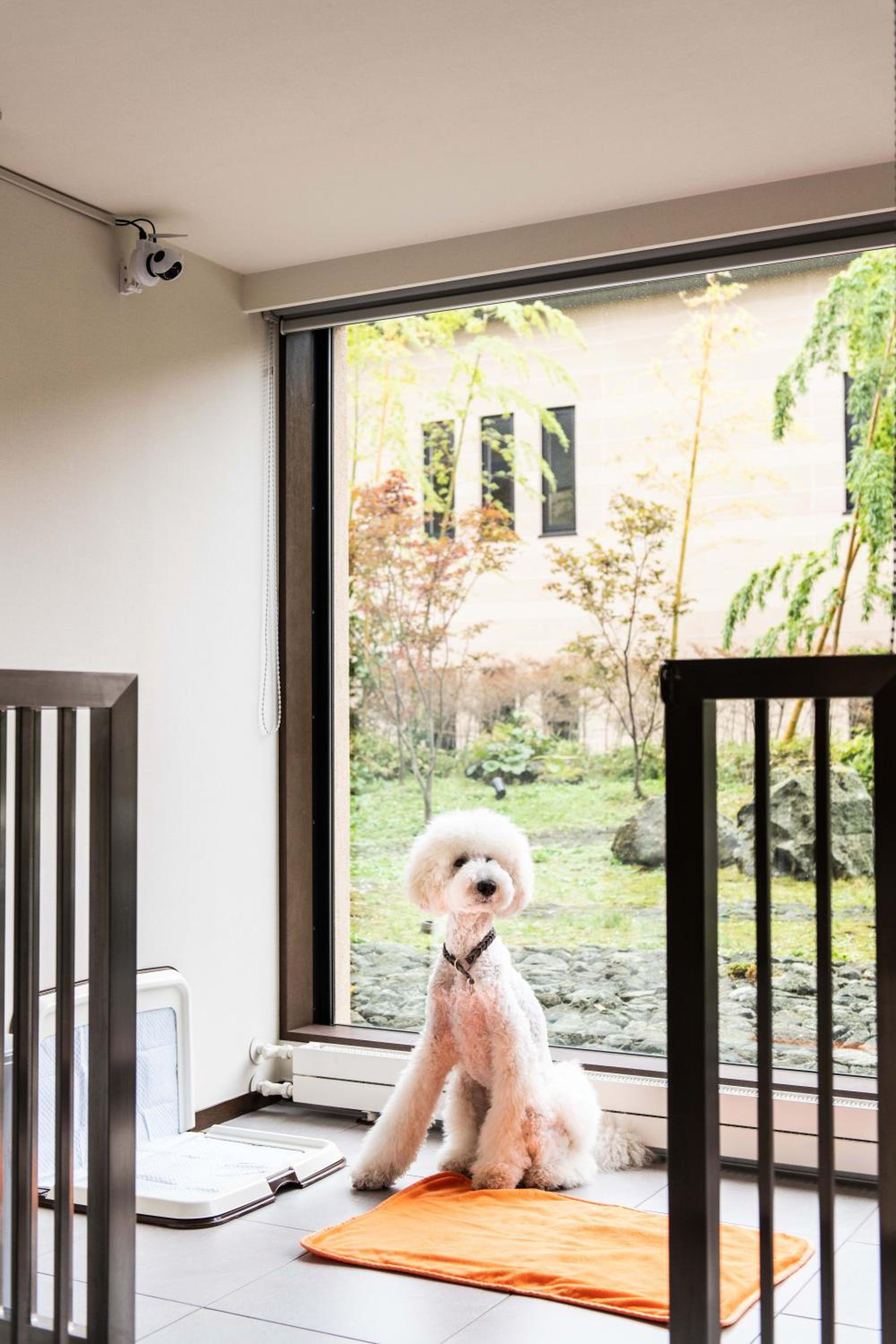 Deluxe Twin Room - Dog Friendly - Photo 2