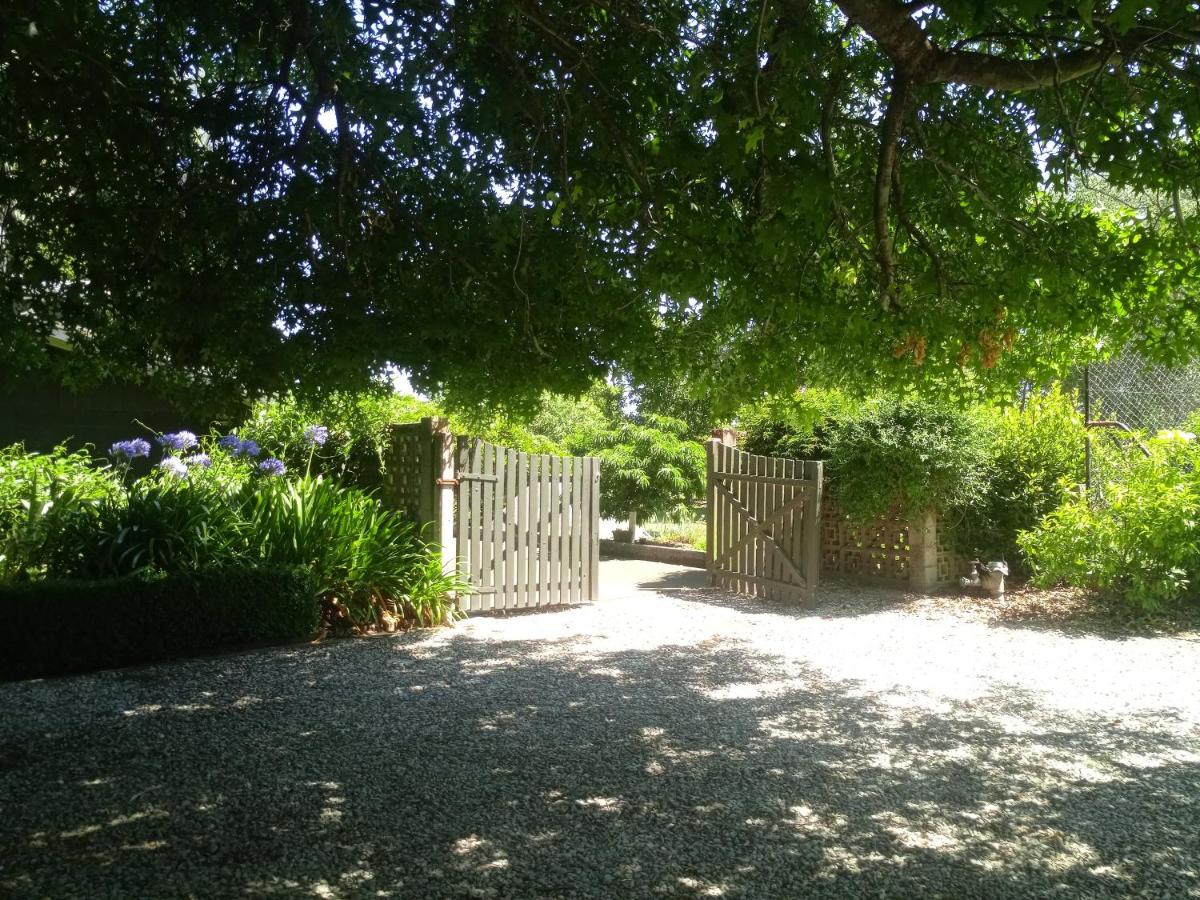 Superior Twin Room with Garden View photo 1