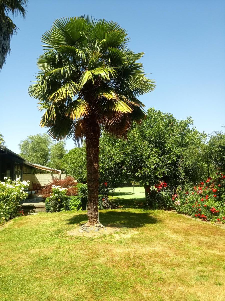 Superior Twin Room with Garden View photo 3