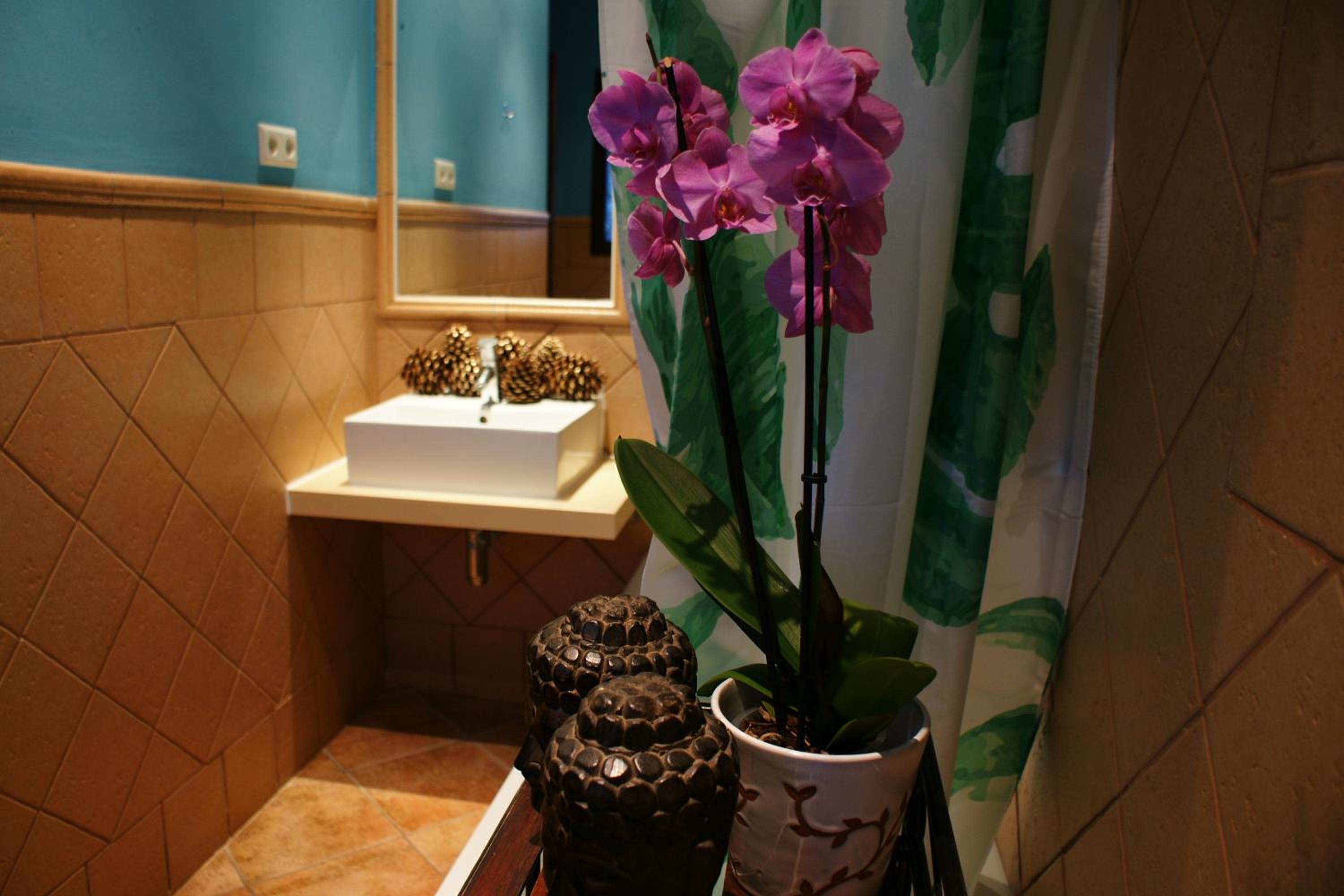 Double or Twin Room photo 3