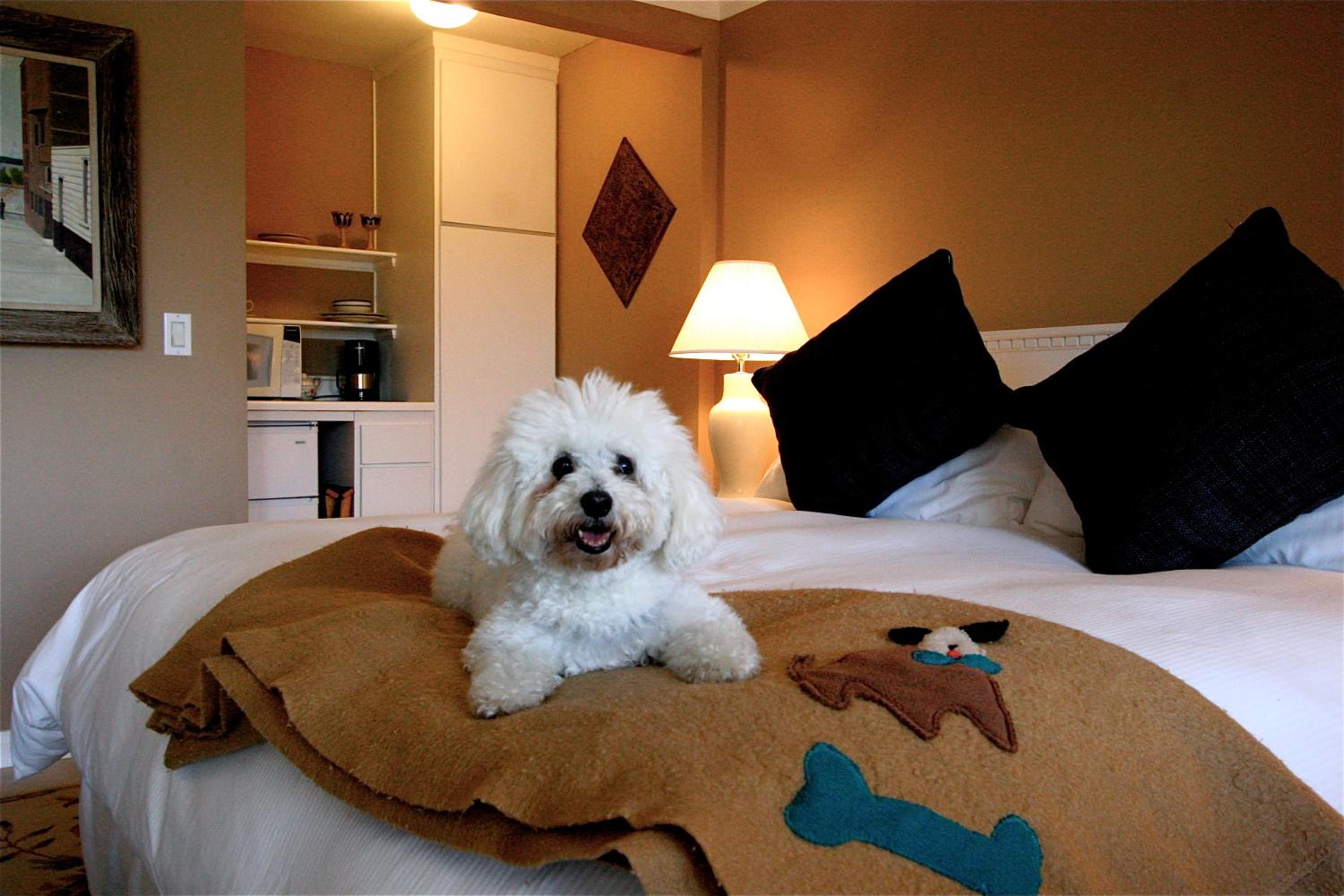 King Room - Photo 4