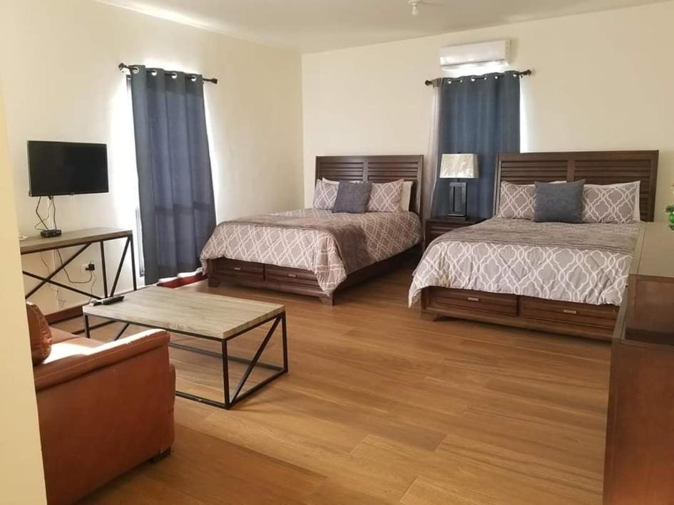 One-Bedroom Apartment - Photo 1