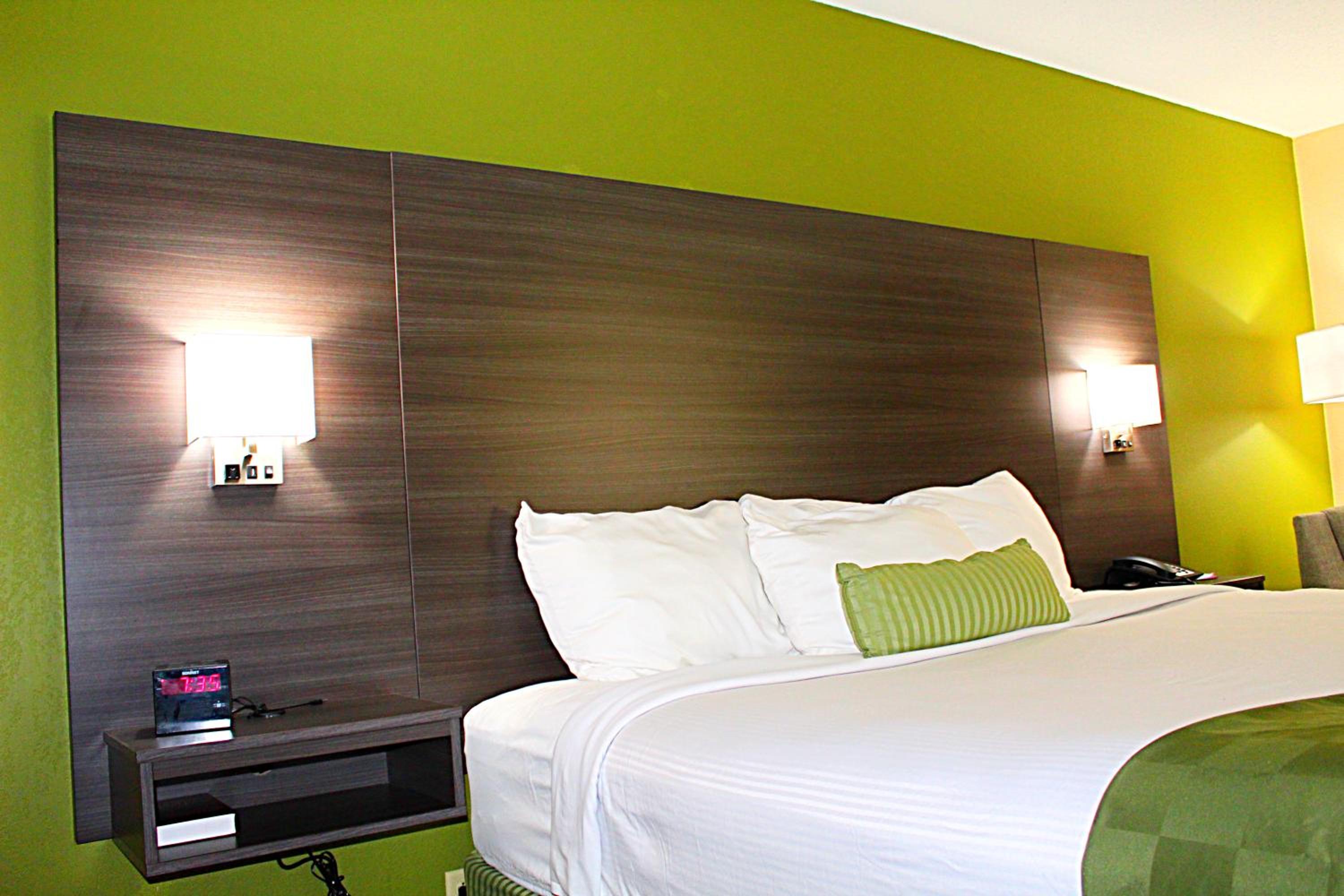 King Room - Non-Smoking - Photo 2