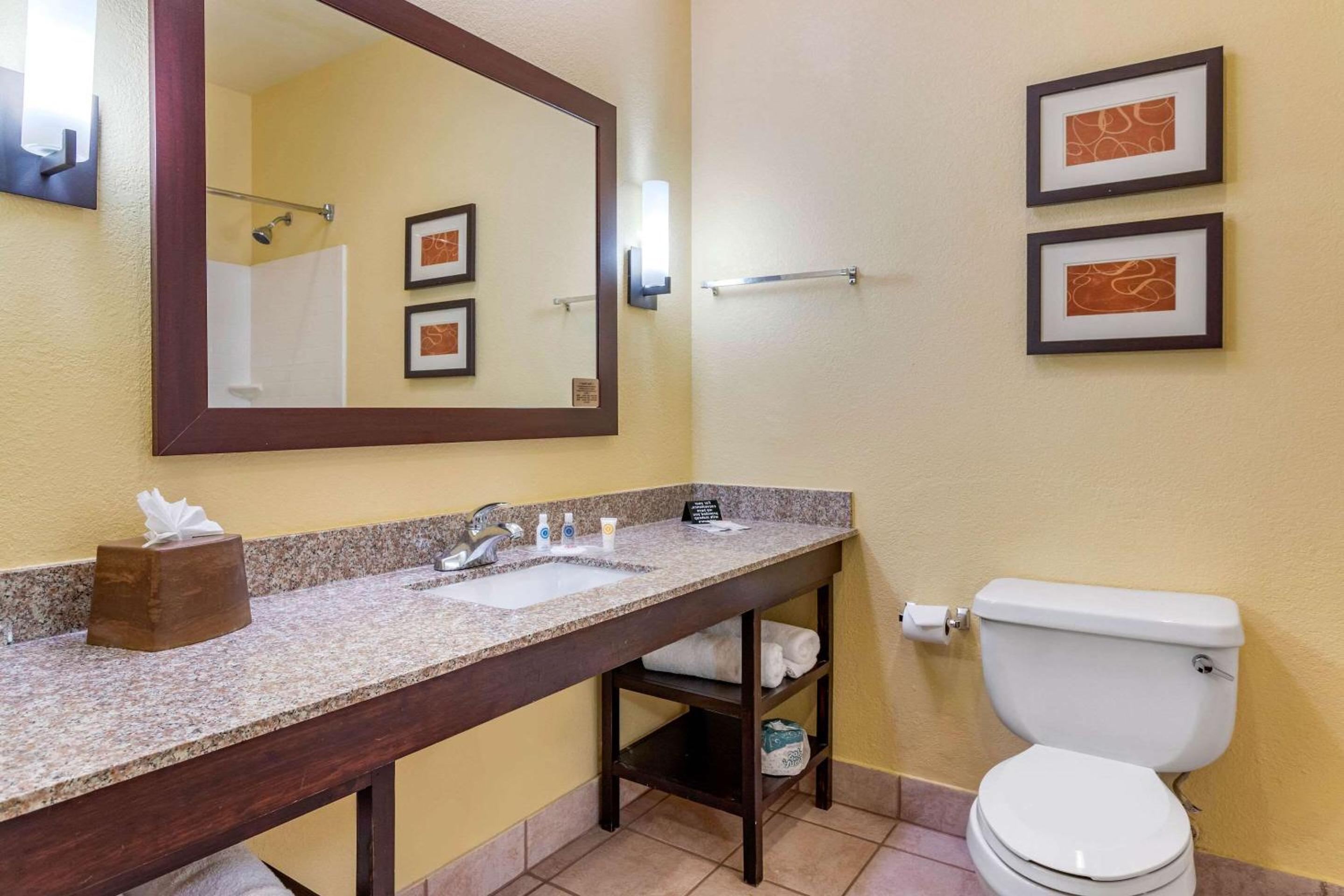 King Suite - Photo 4