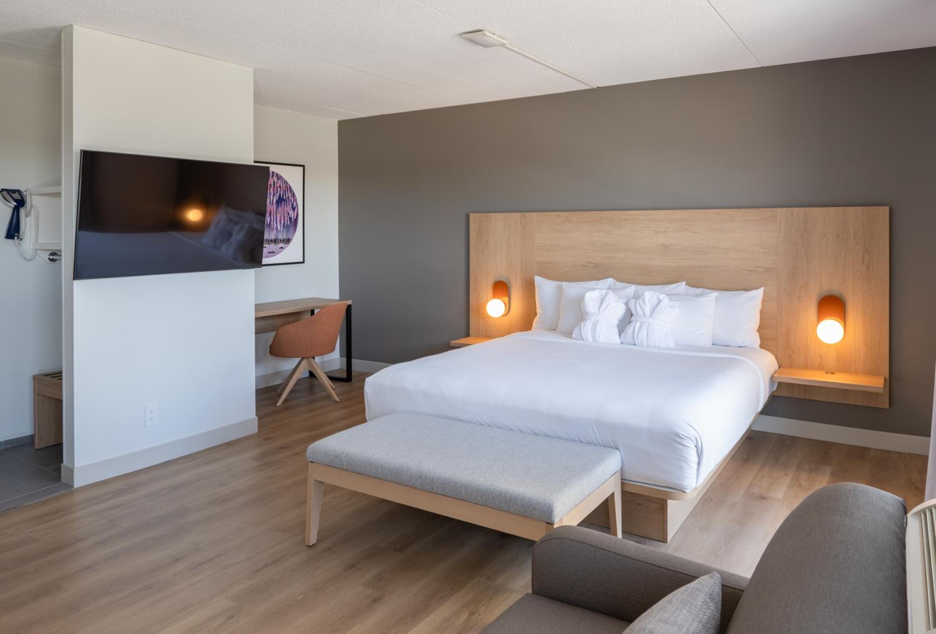 King Studio with Sofa Bed