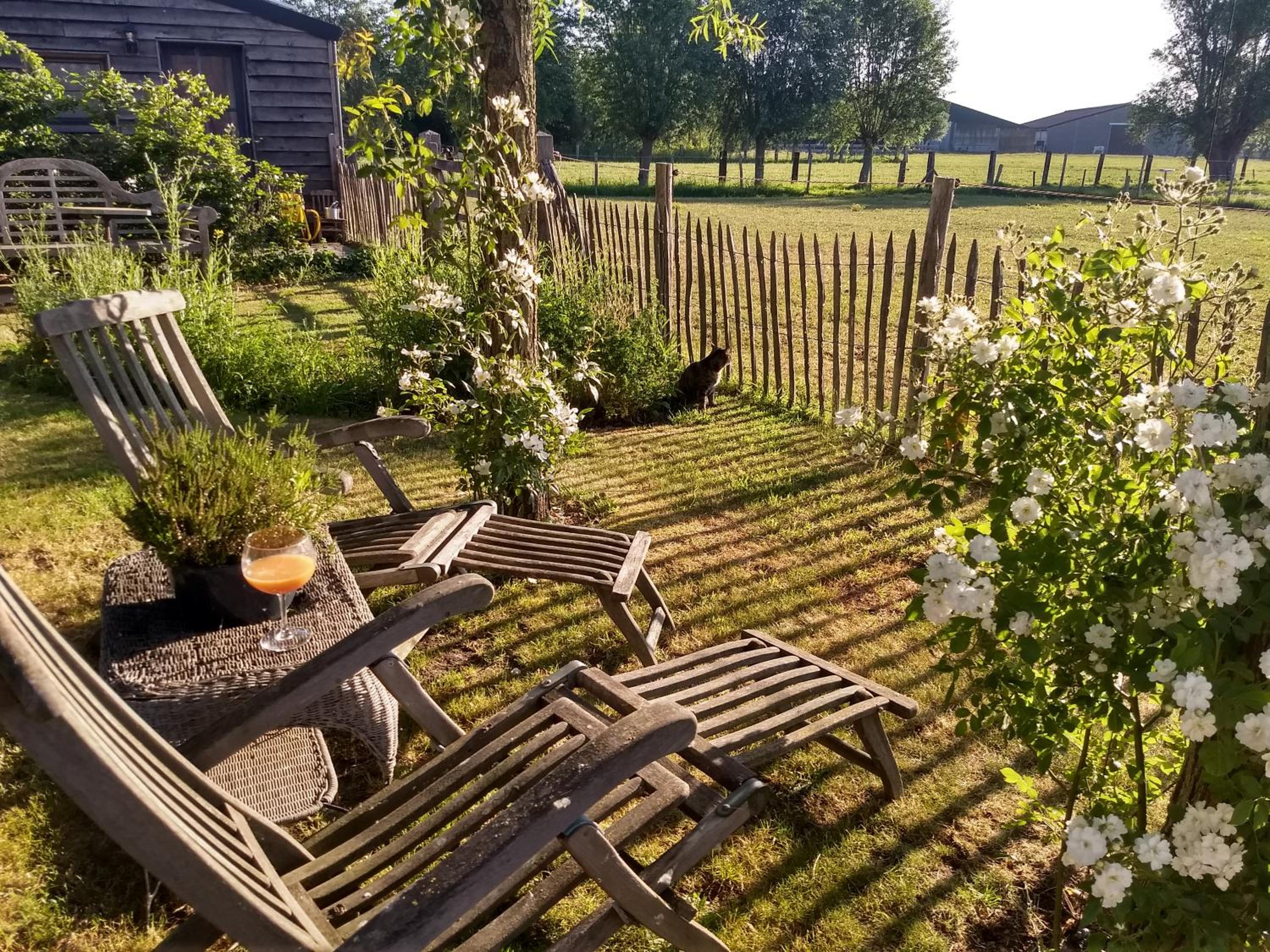 Double Room with Garden View photo 3