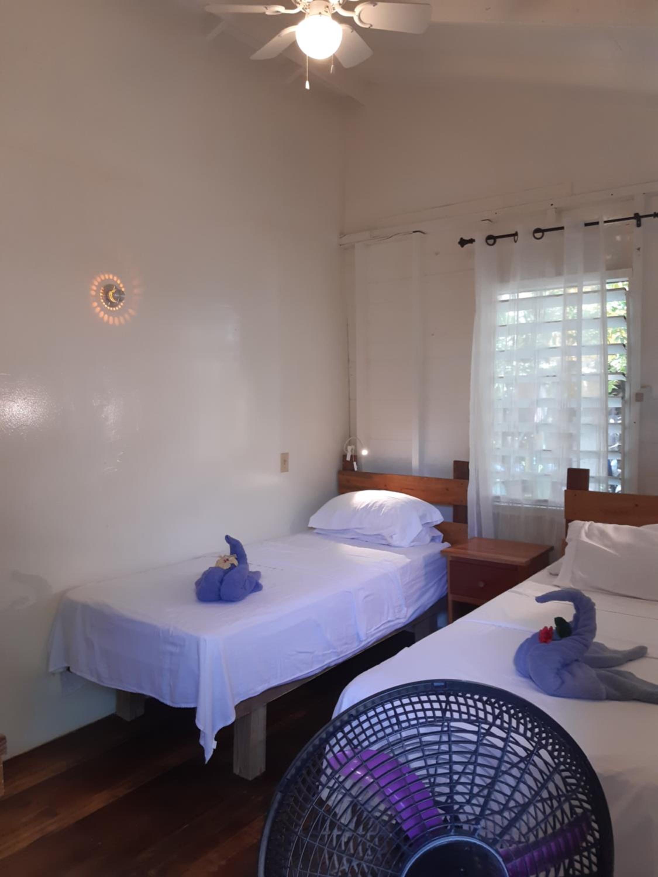 Twin Room with Shared Bathroom photo 2