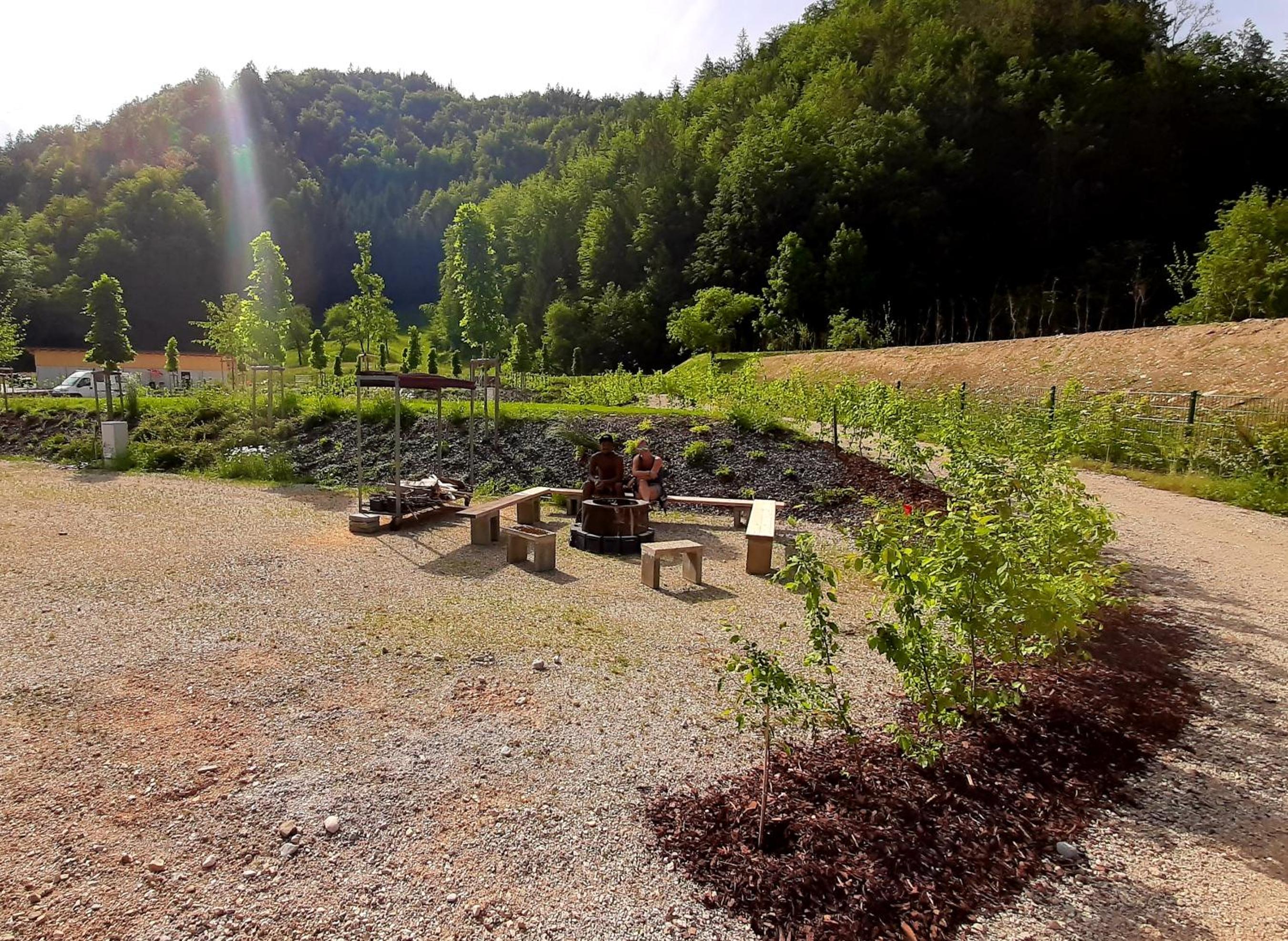 Camp Site photo 1