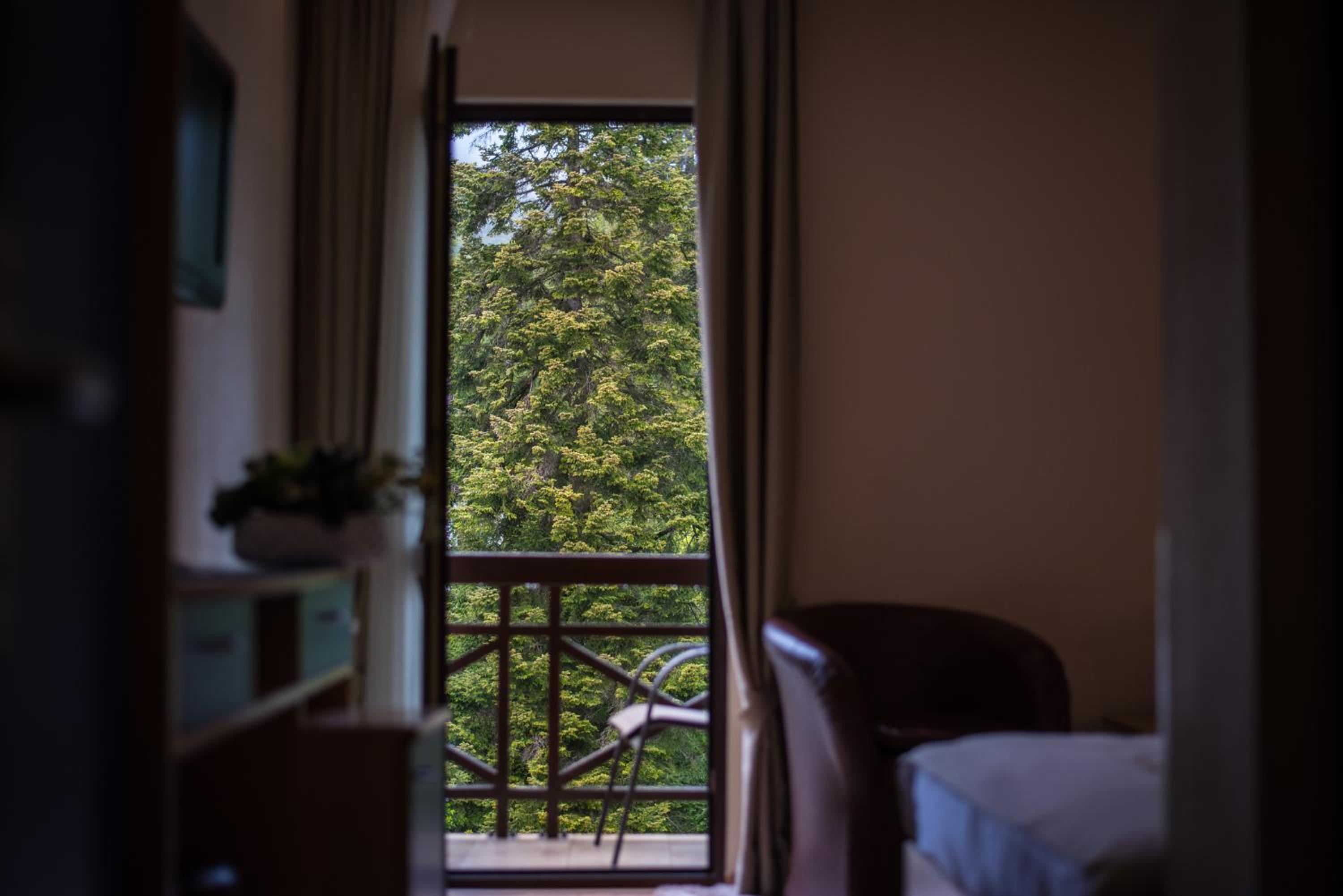 Double or Twin Room - Photo 30