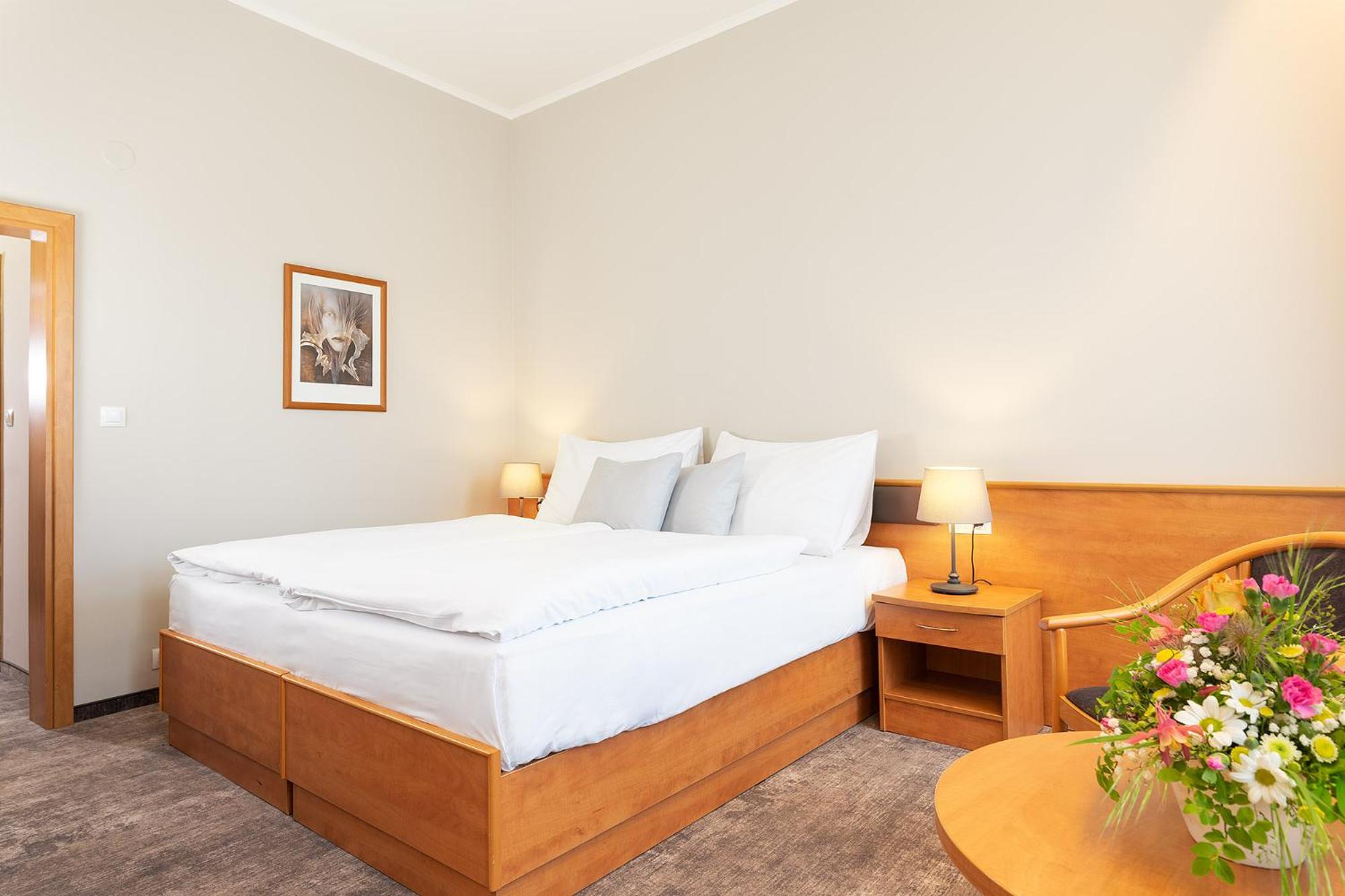 Superior Double or Twin Room photo 1