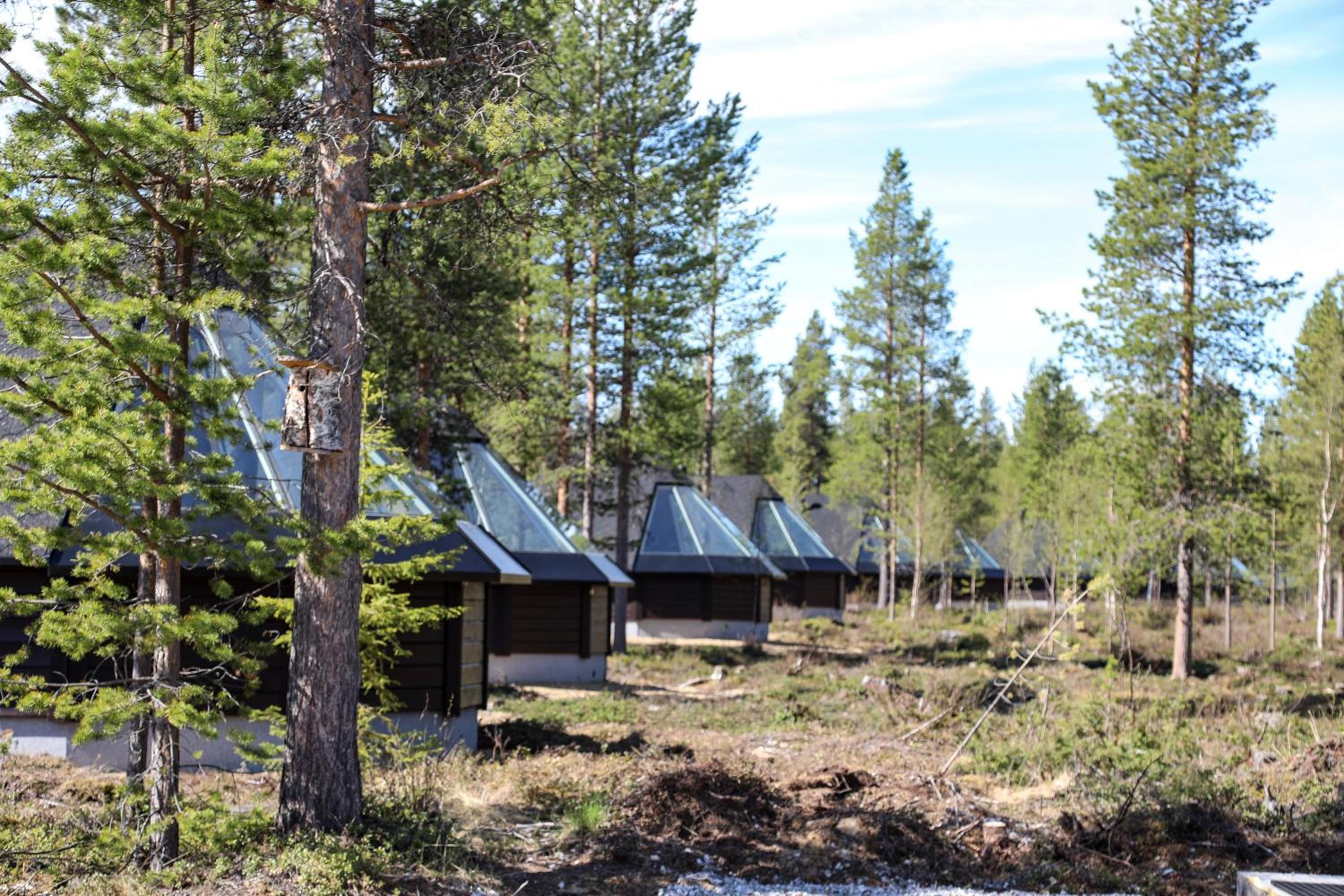 Aurora Summer Cabin