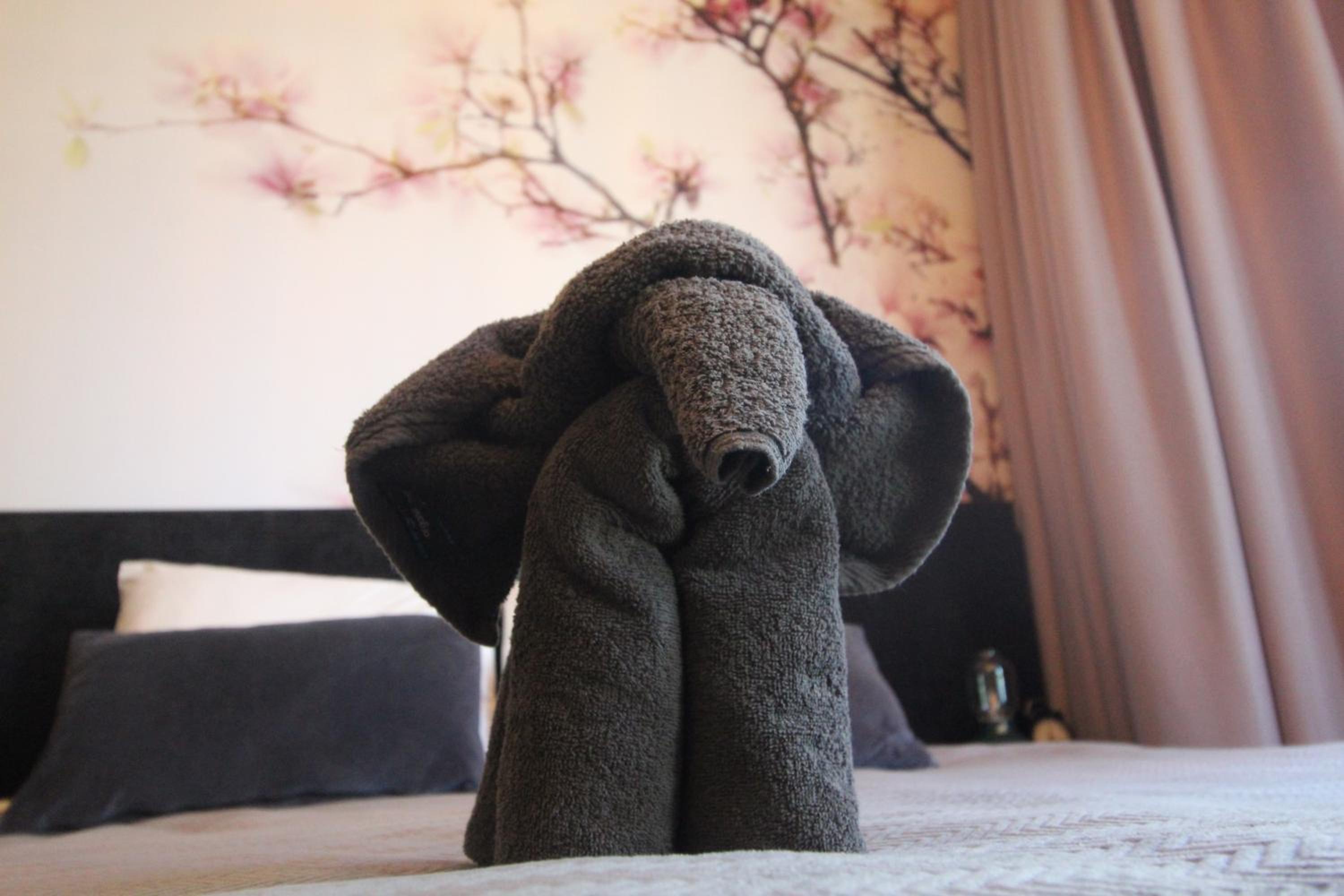 Polderhuis Bed & Breakfast, Bilde 13