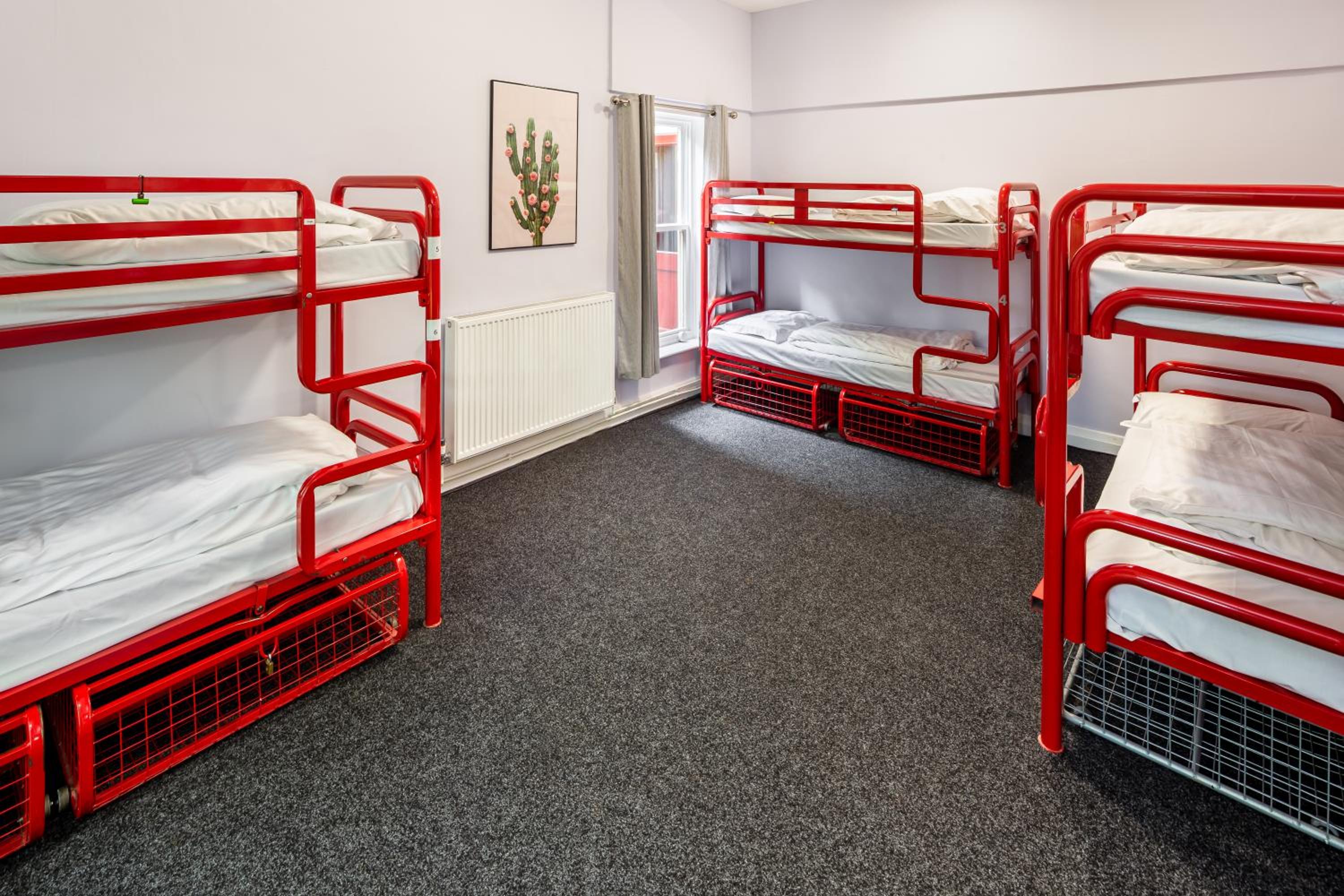 Bed in 18-Bed Mixed Dormitory Room photo 1