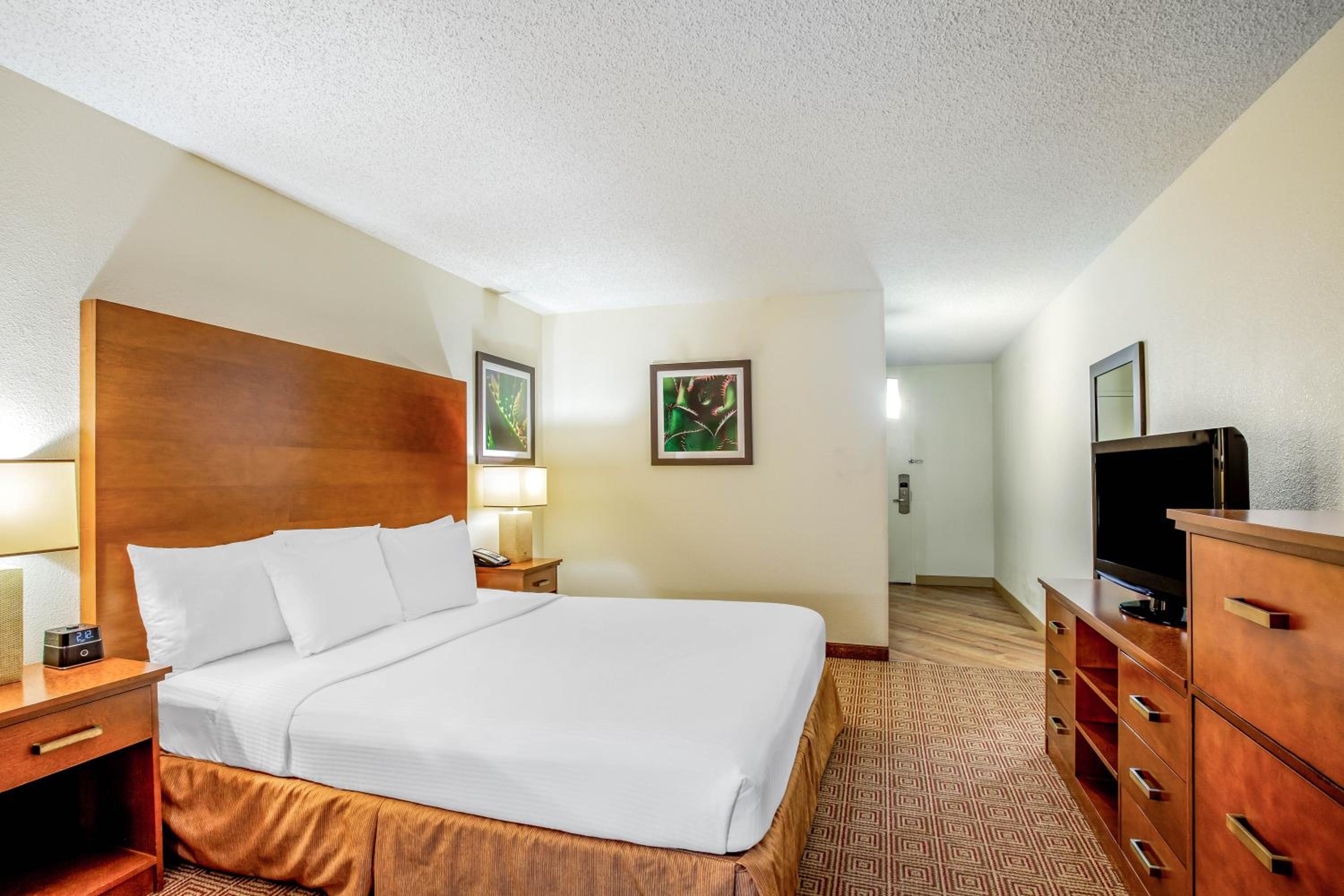 King Room - Mobility Access/Non-Smoking - Photo 2