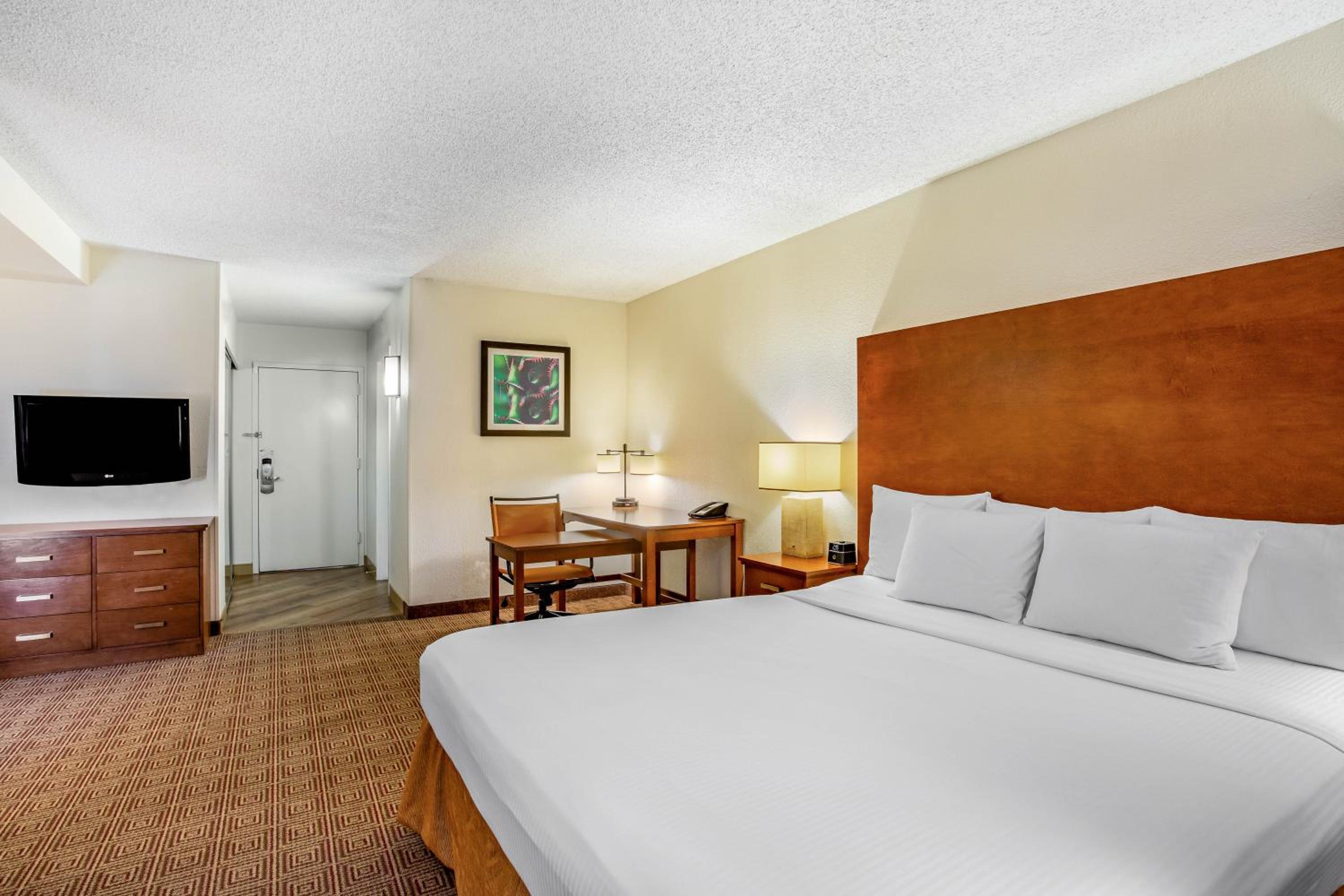 King Suite - Photo 5