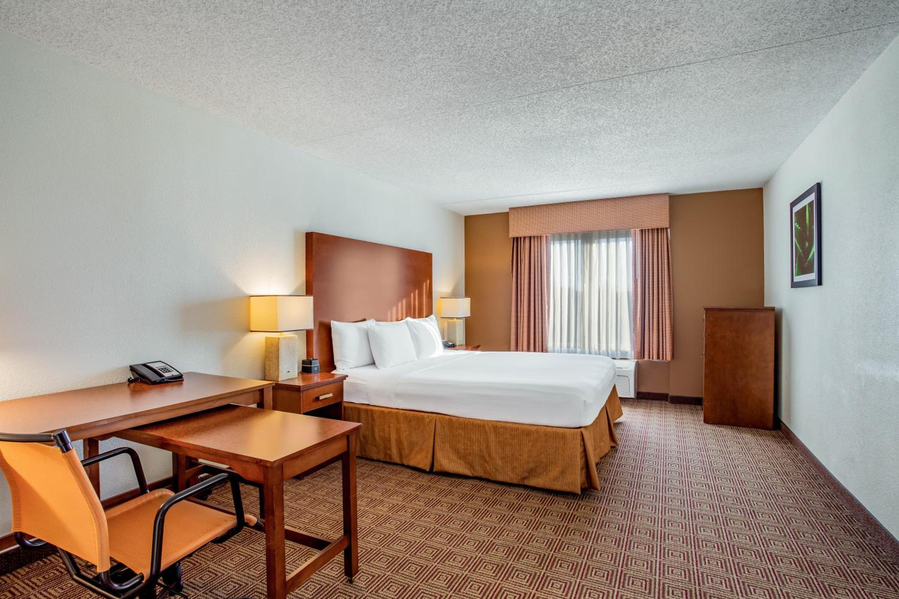King Suite - Photo 4