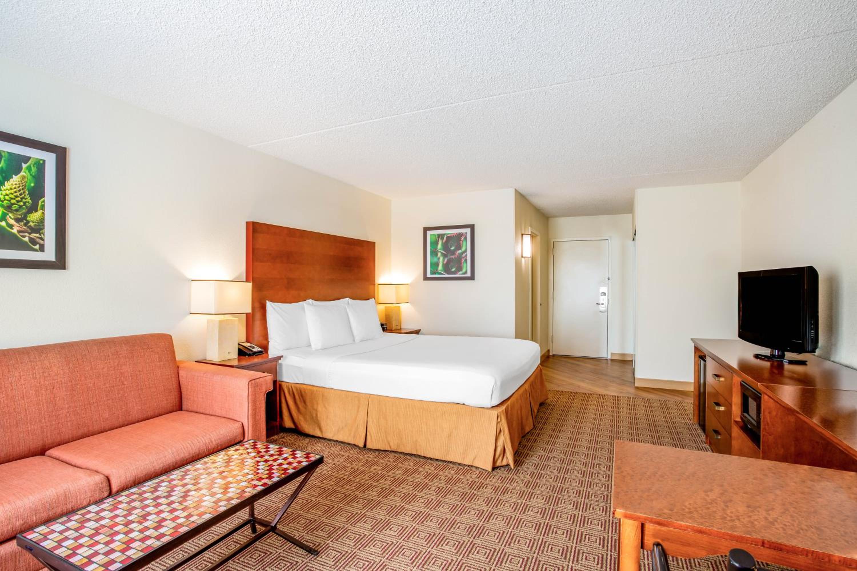 King Suite - Photo 7