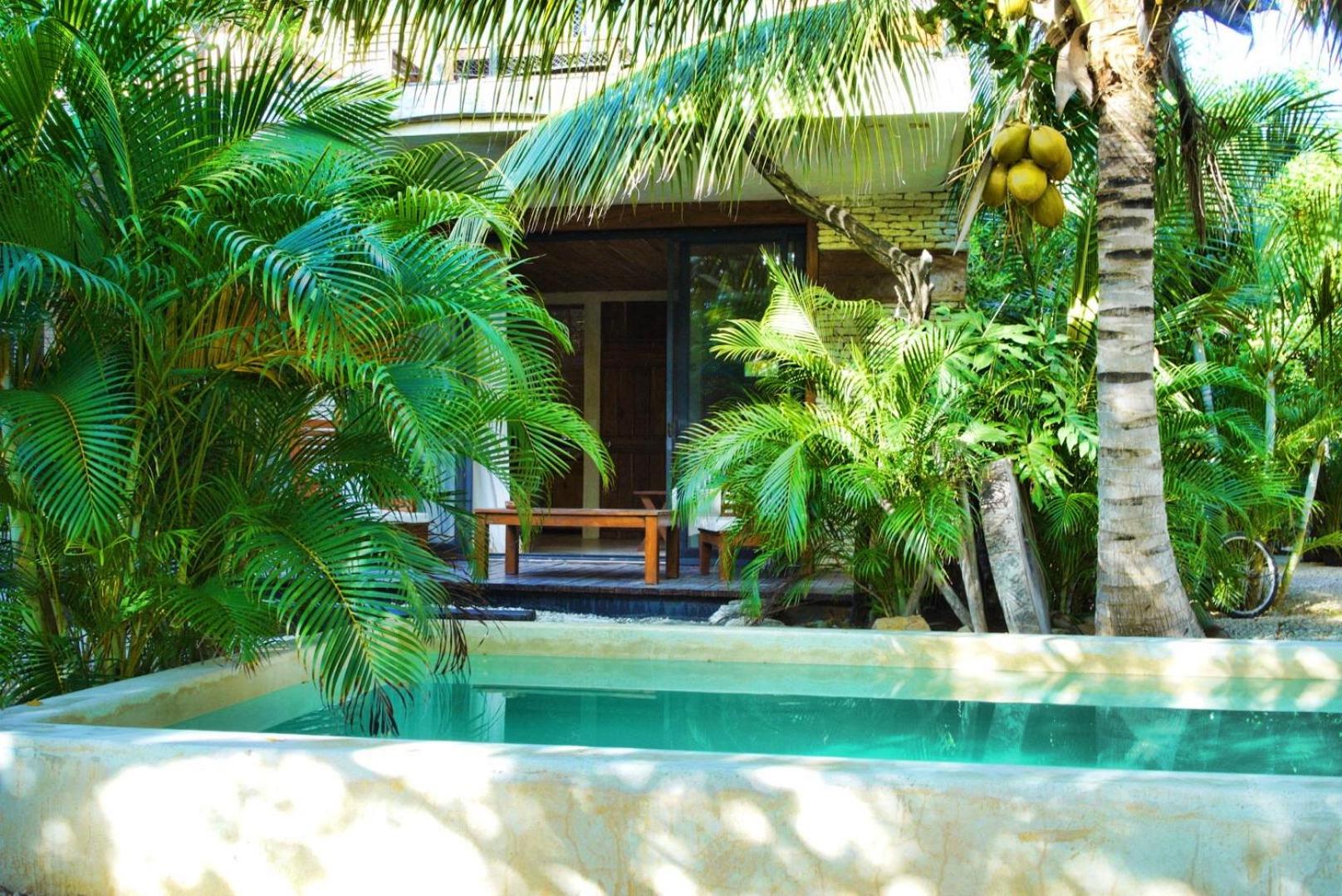 Studio with Terrace and Jungle View - Photo 51