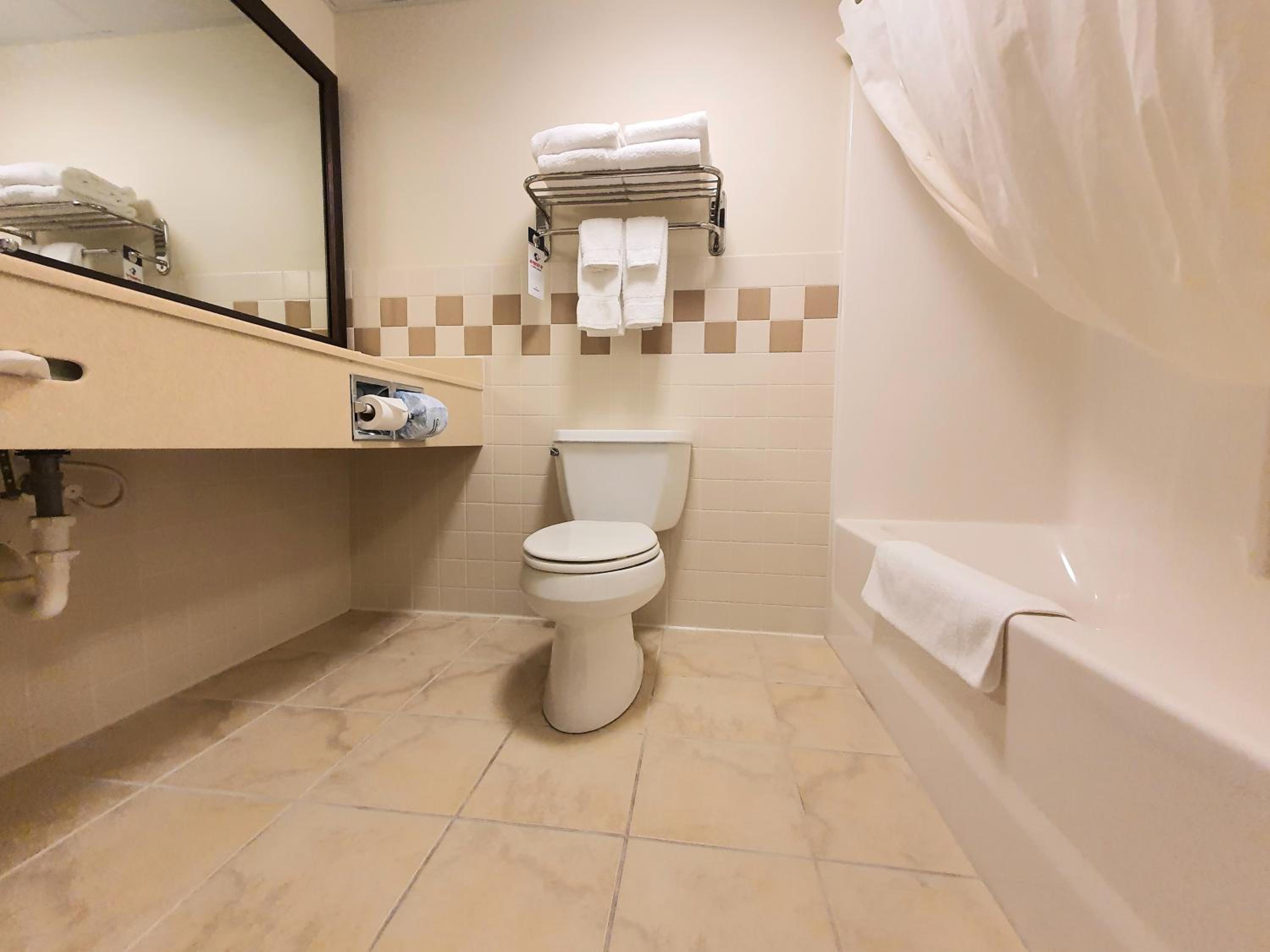 Deluxe Suite with Spa Bath photo 2