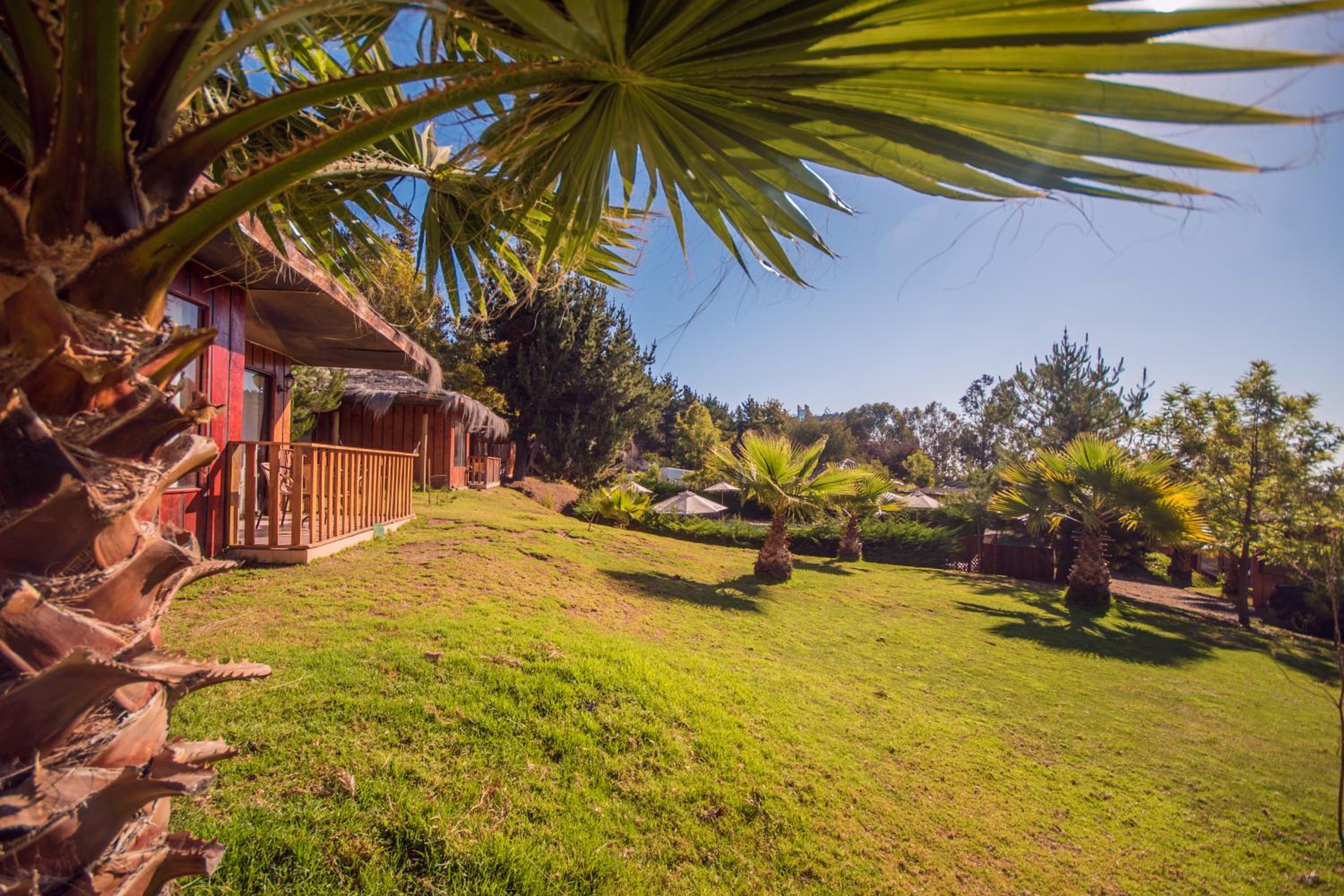One-Bedroom Bungalow photo 3