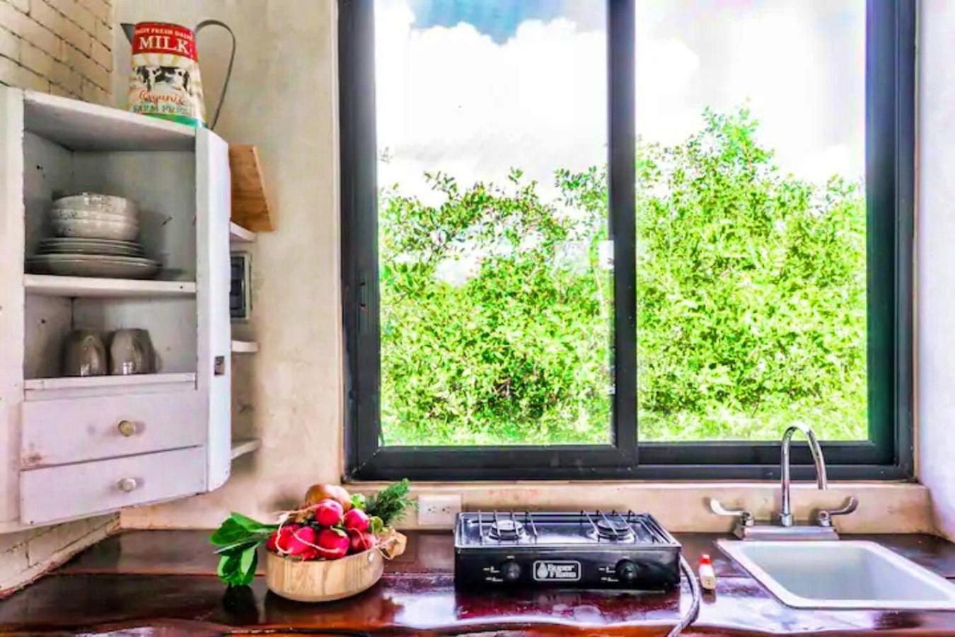 Studio with Balcony and Jungle View - Photo 27