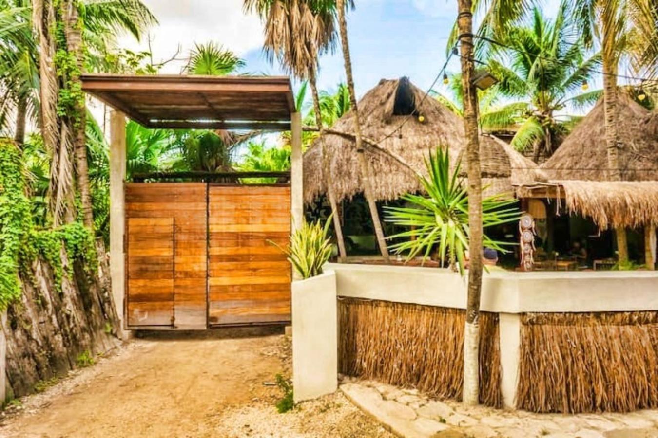 Superior Double or Twin Room with Jungle View - Photo 49