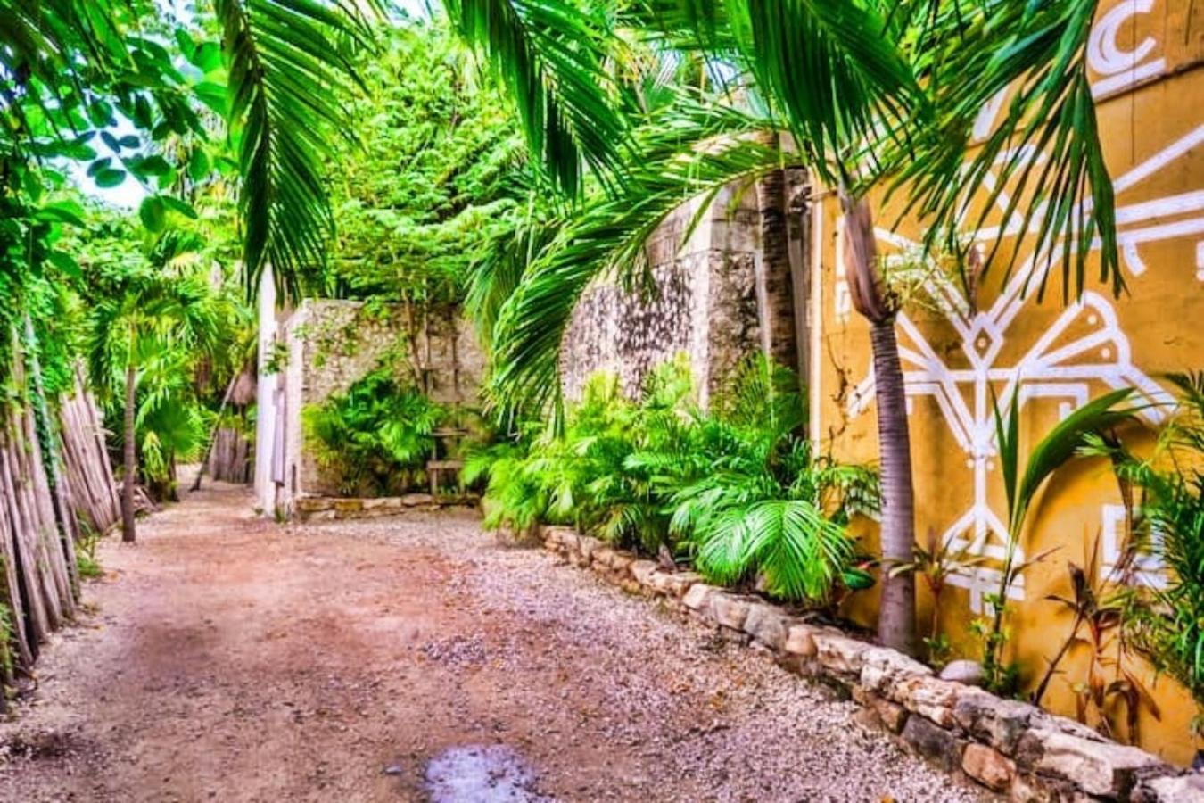 Superior Double or Twin Room with Jungle View - Photo 47
