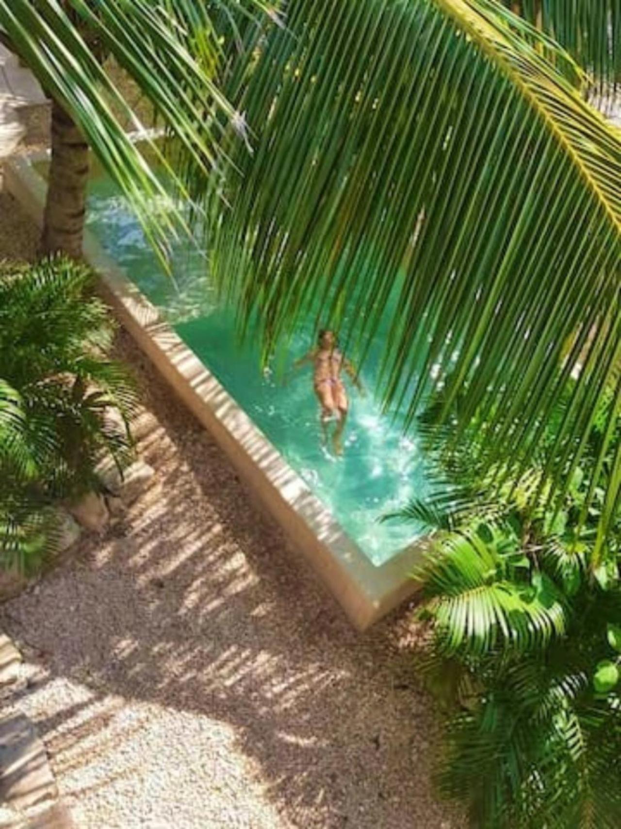 Superior Double or Twin Room with Jungle View - Photo 54