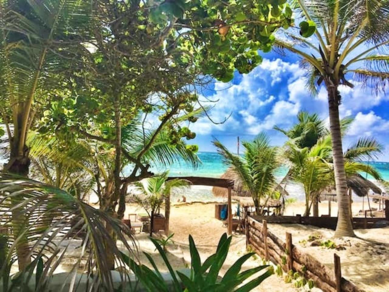 Superior Double or Twin Room with Jungle View - Photo 31