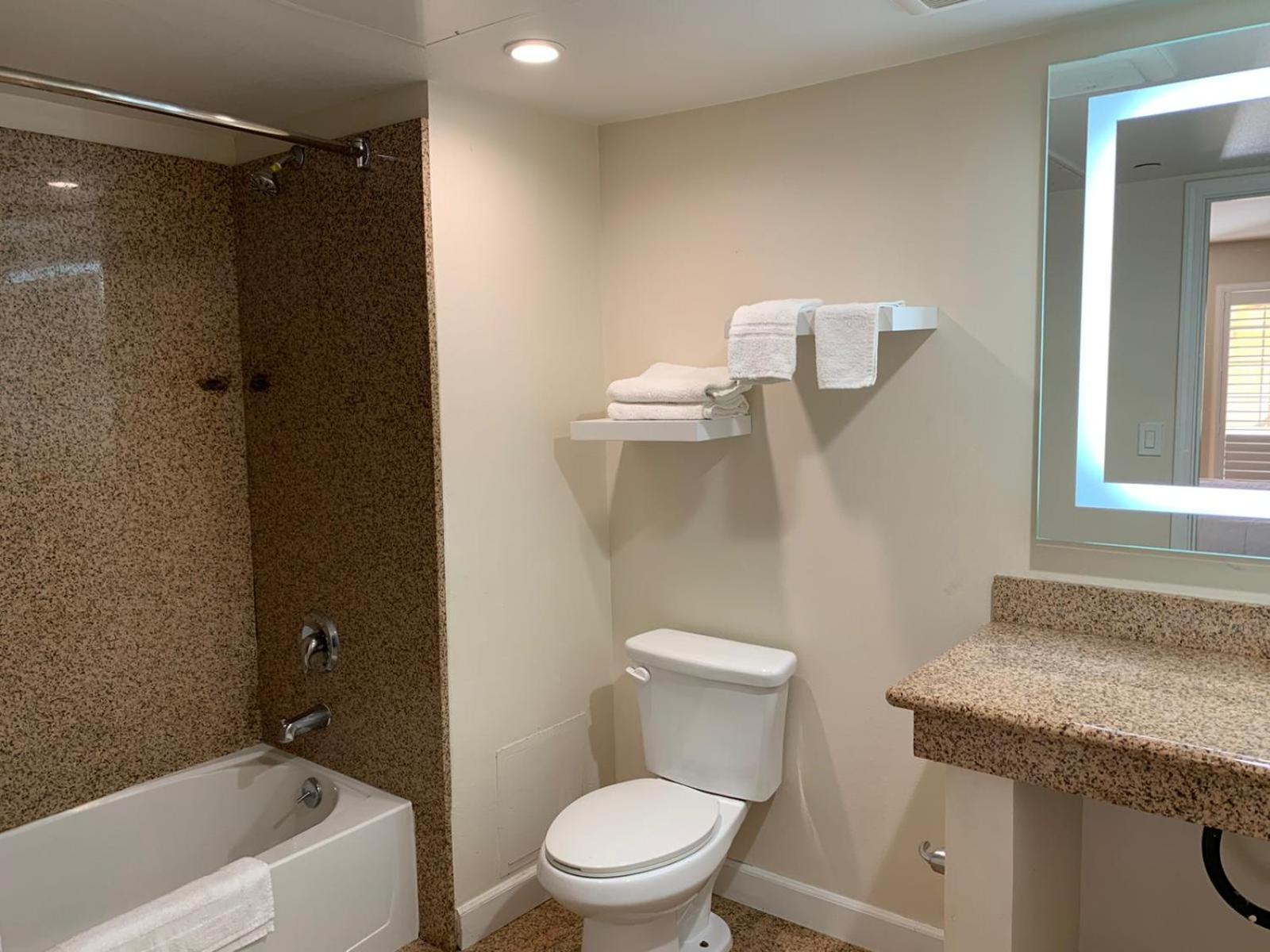 Queen Room - Disability Access - Roll in Shower - Photo 5
