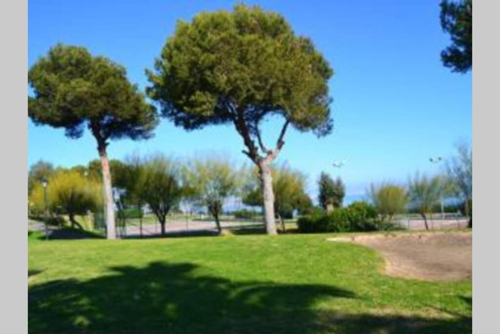 Apartment with Sea View photo 3