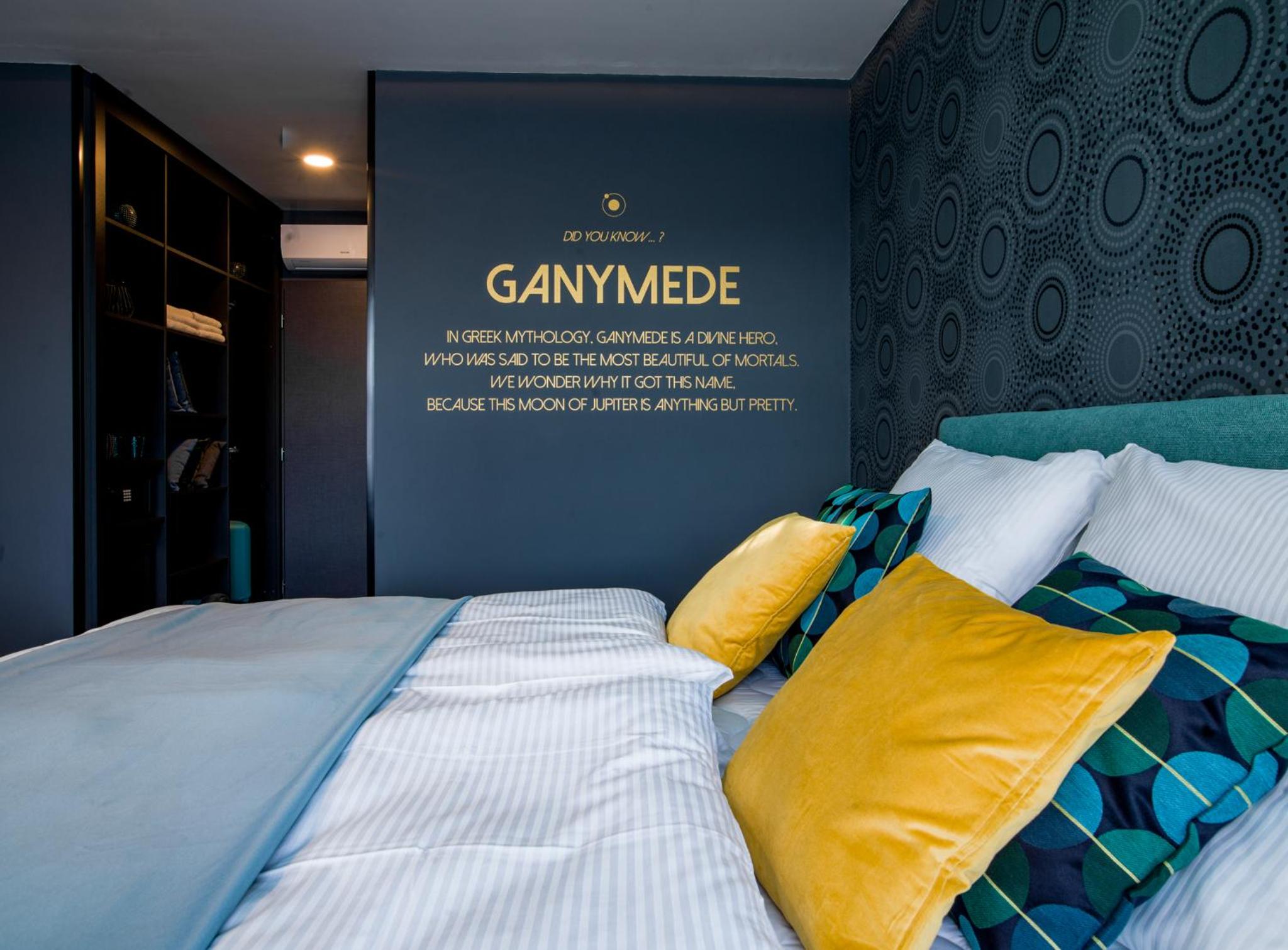 Superior Double or Twin Room