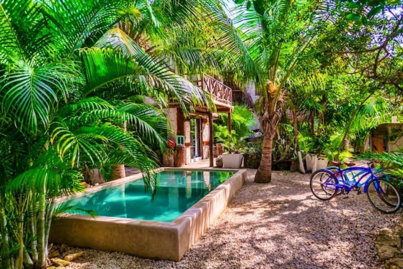 Superior Double or Twin Room with Jungle View - Photo 25